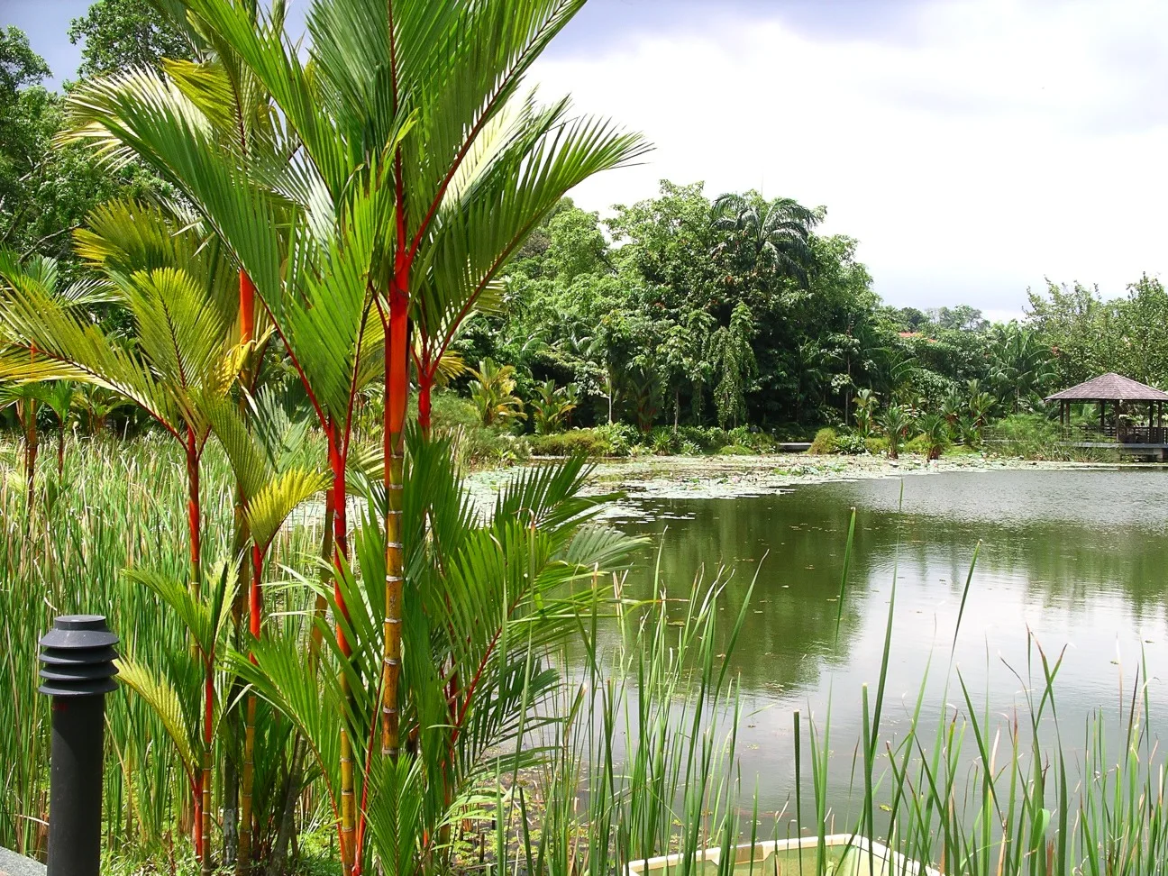 Jardins botaniques de Singapour
