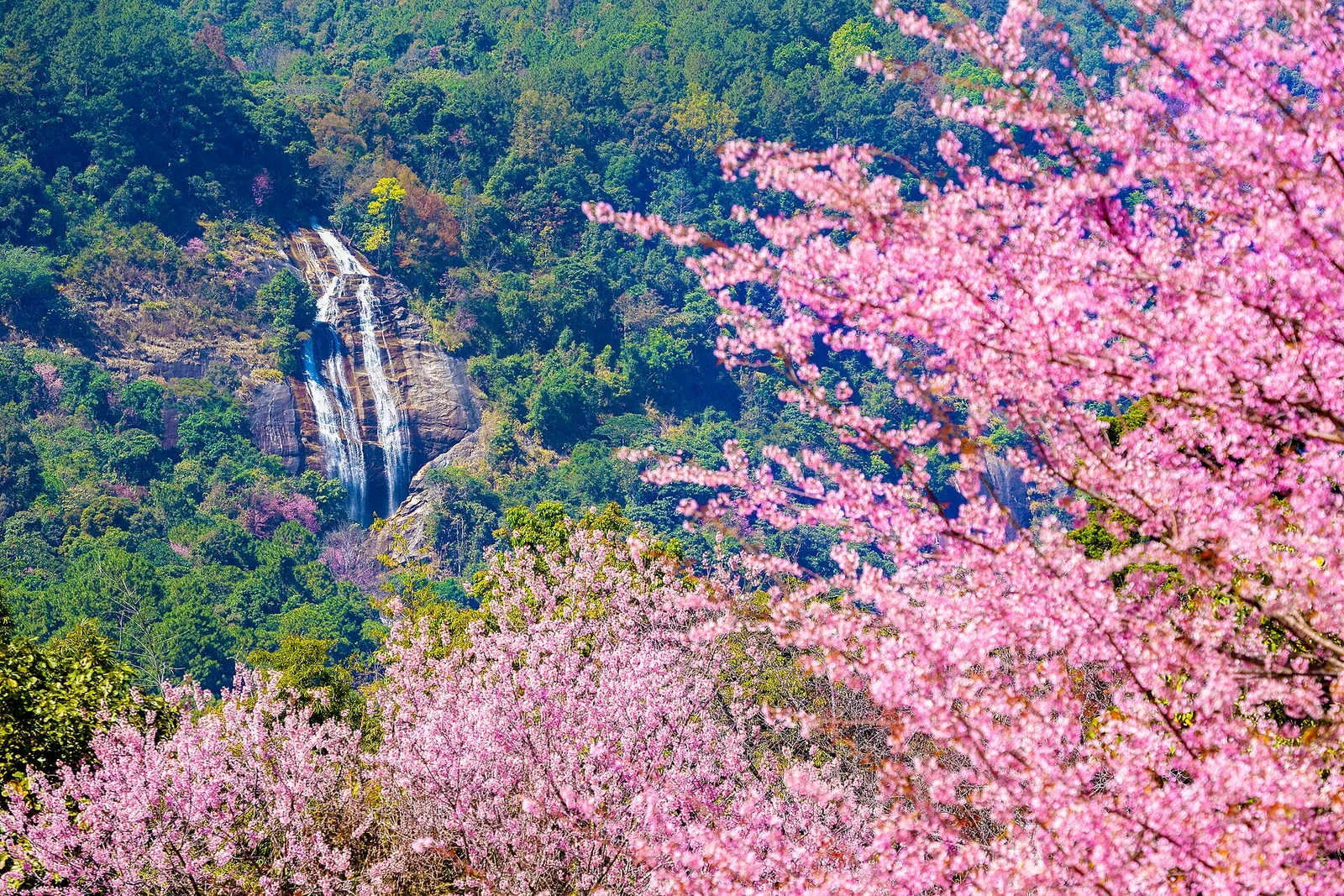 Cascade de Siriphum