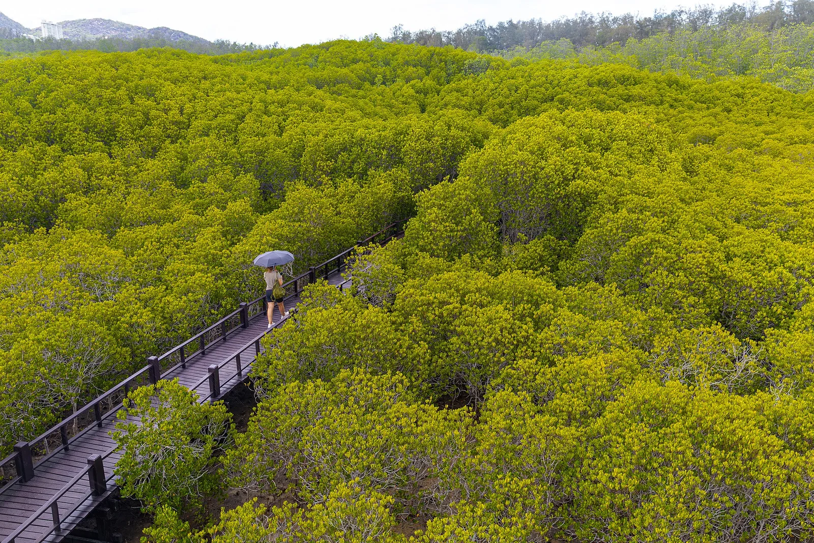 Pranburi Forest Park