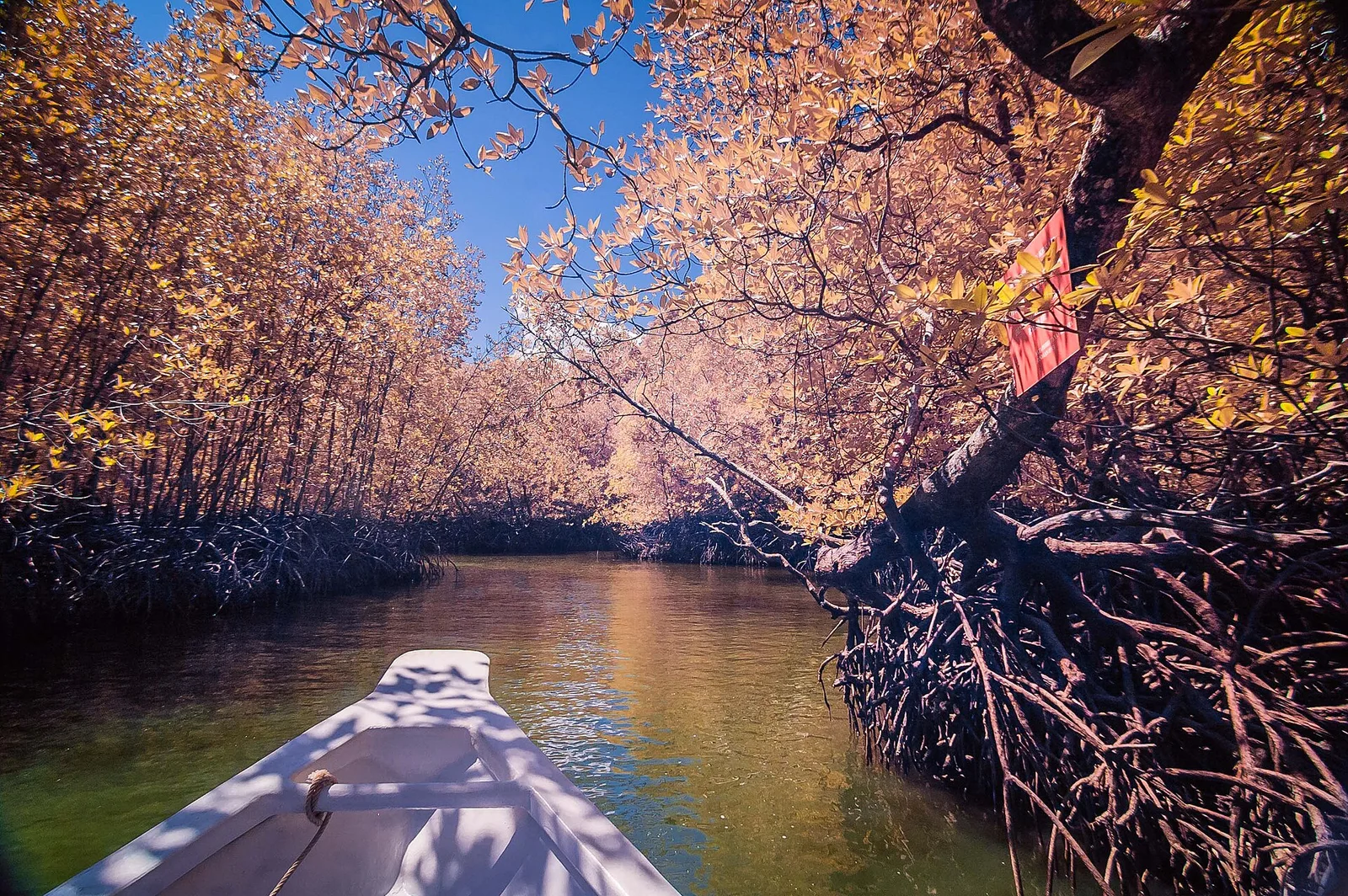 Parc géoforestier karstique de Kilim