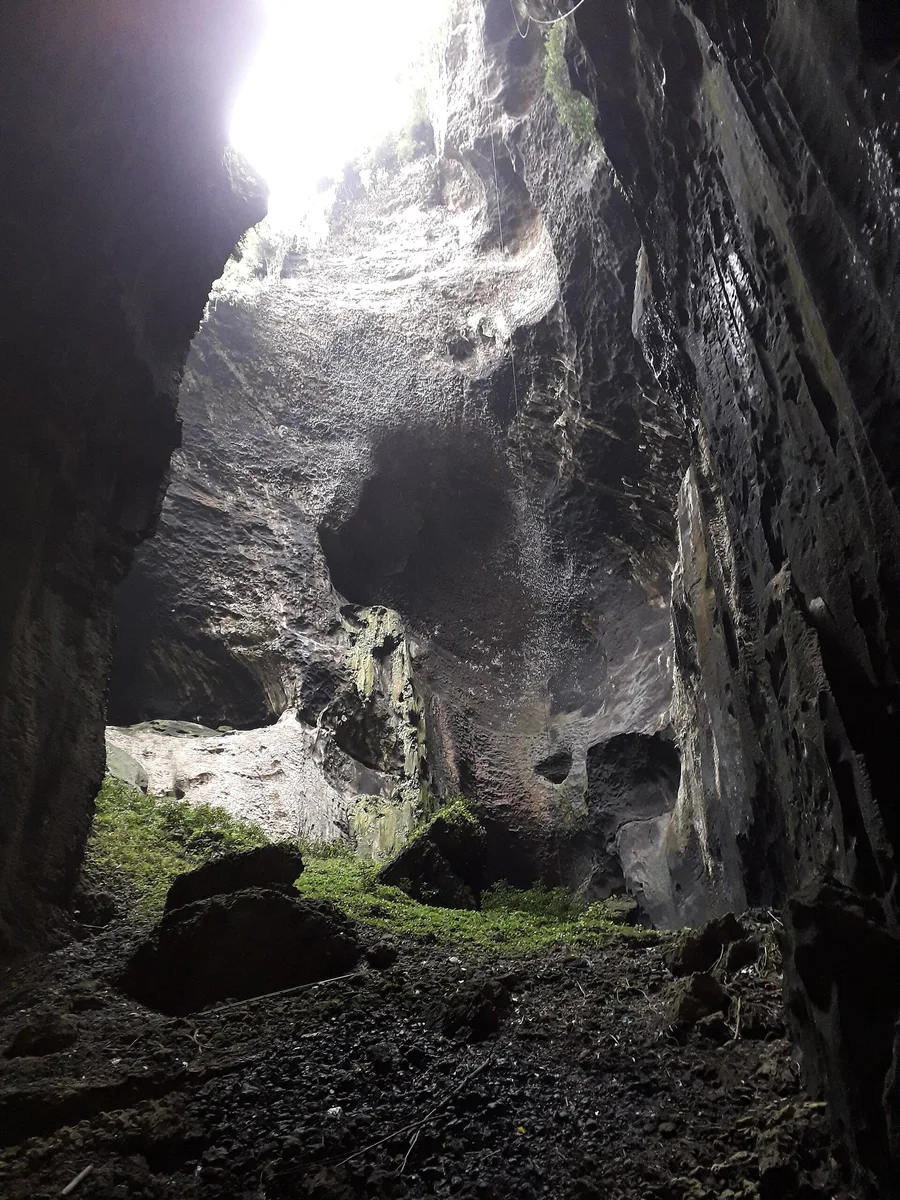 Grottes de Gomantong