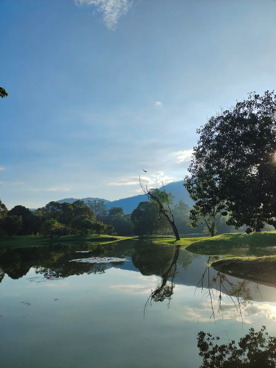 Jardins du lac de Taiping