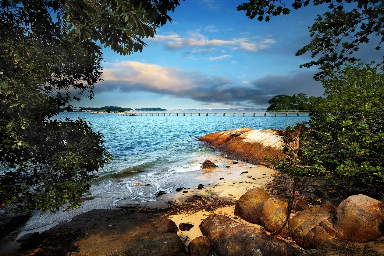 Chek Jawa