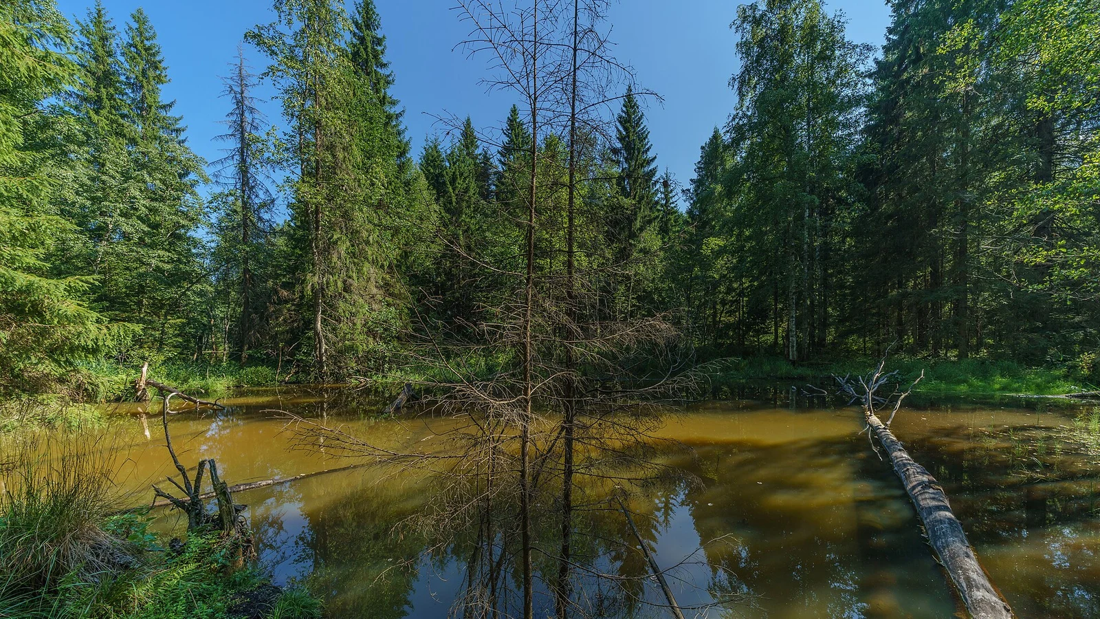 Parc national de Valdaï