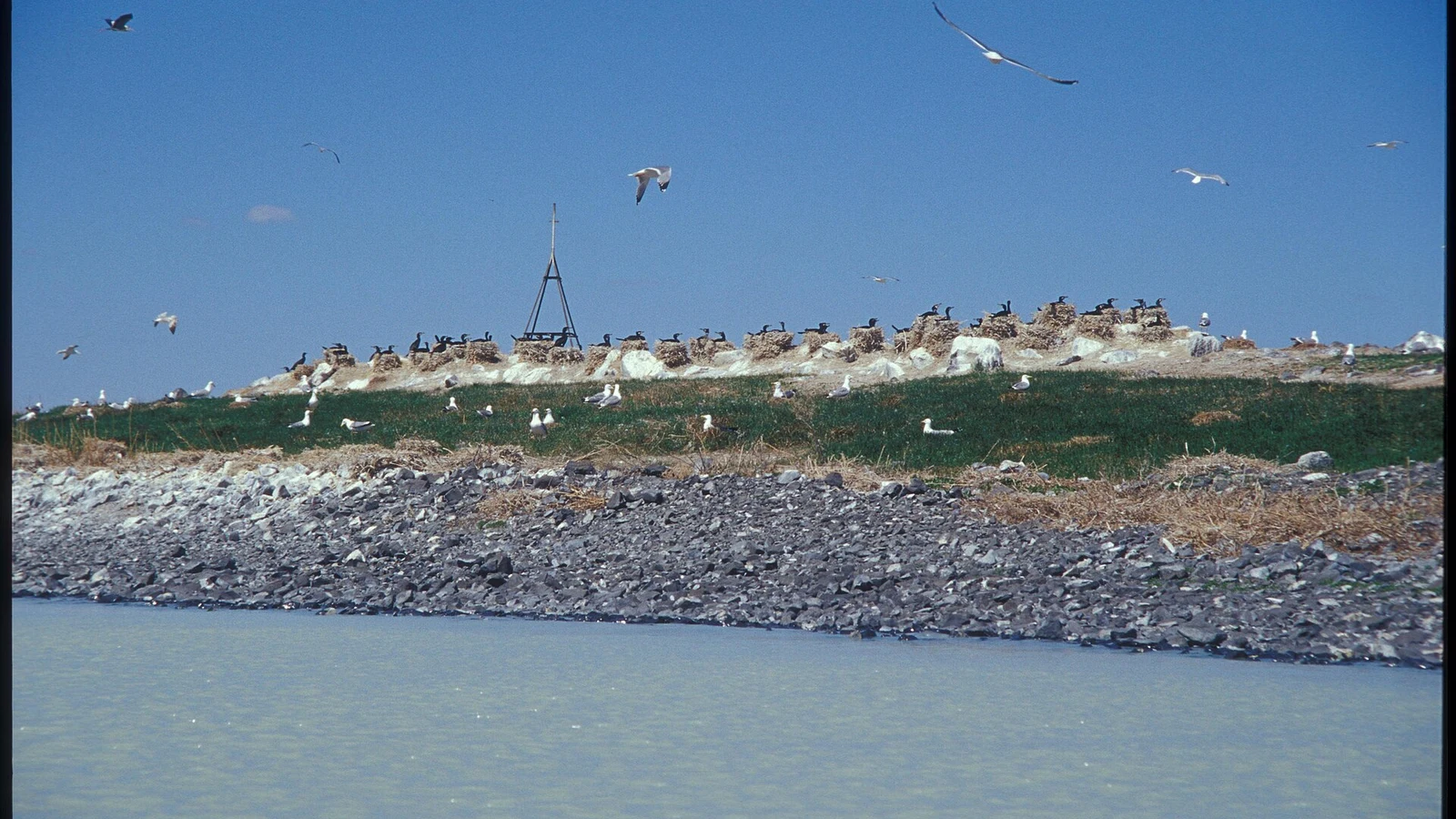 Lac Toreï