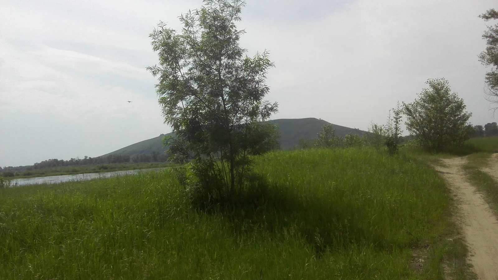 Mont Samokhval