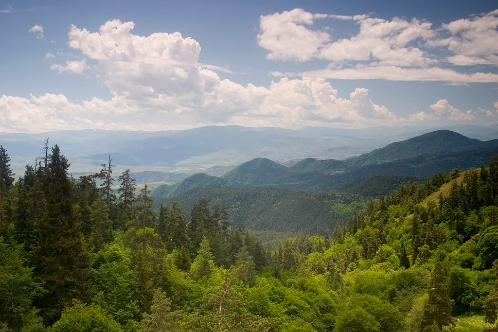 Parque nacional Borjomi-Jaragauli