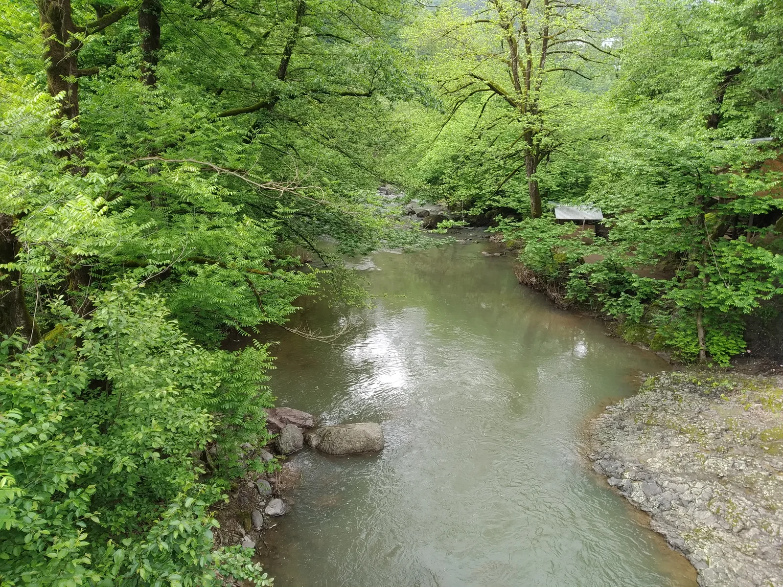 Parc national de Hirkan