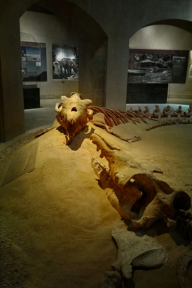 Fossil and Climate Change Museum