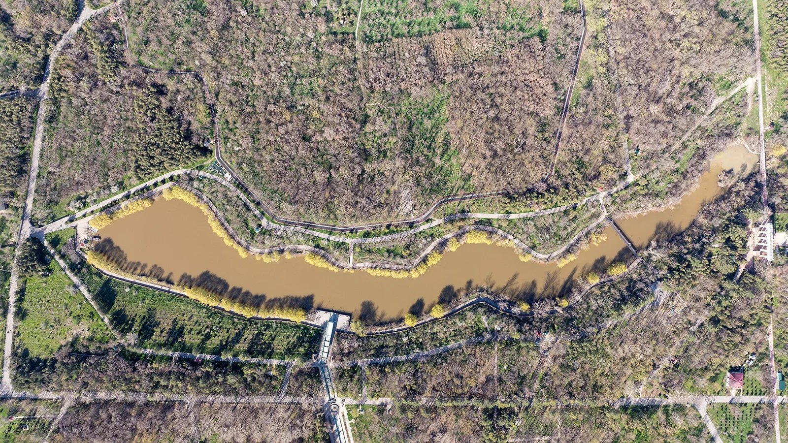 Parc dendrologique de Chymkent