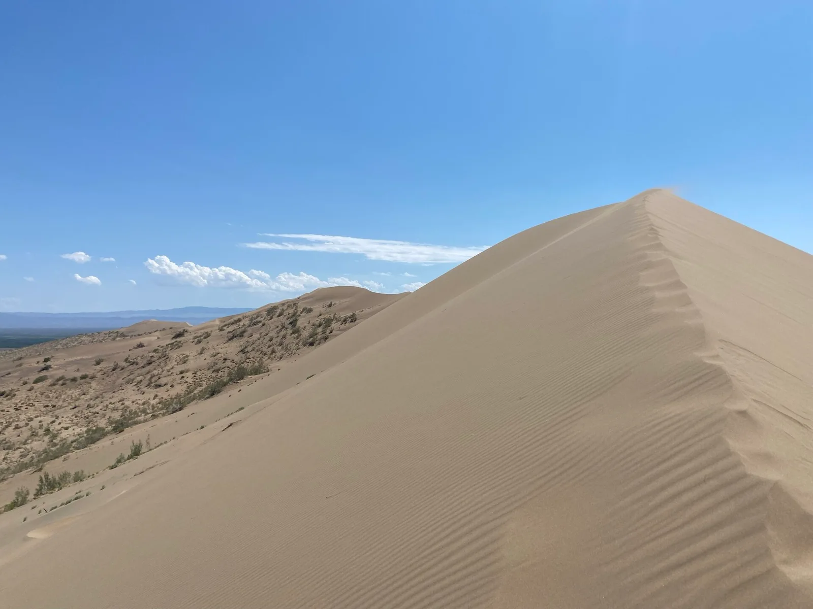 Dune chantante