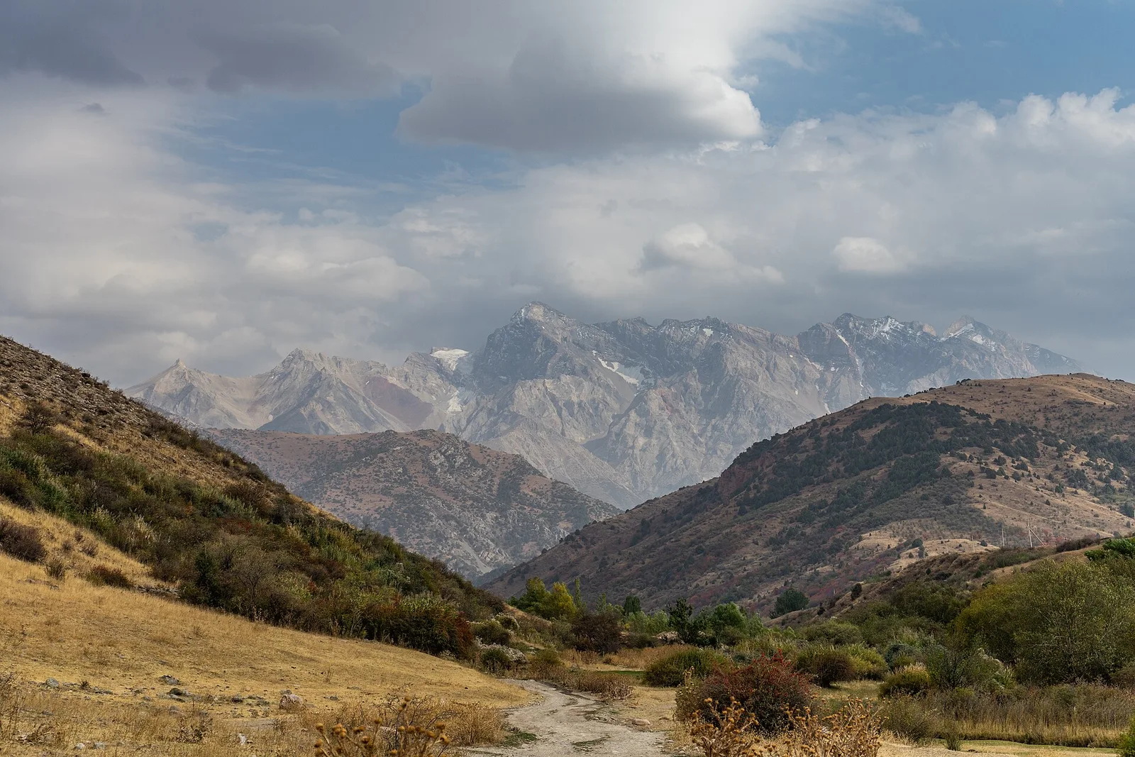 Parc national de Sayram-Ougam