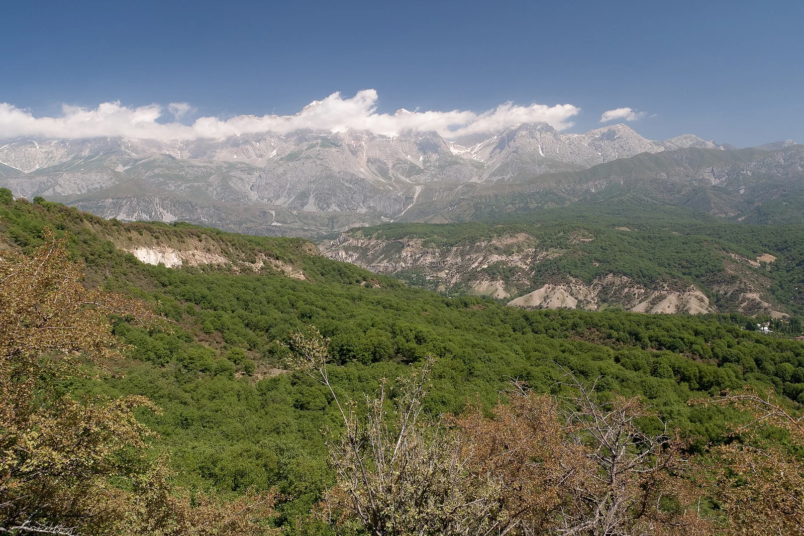 Forêts de noyers d’Arslanbob