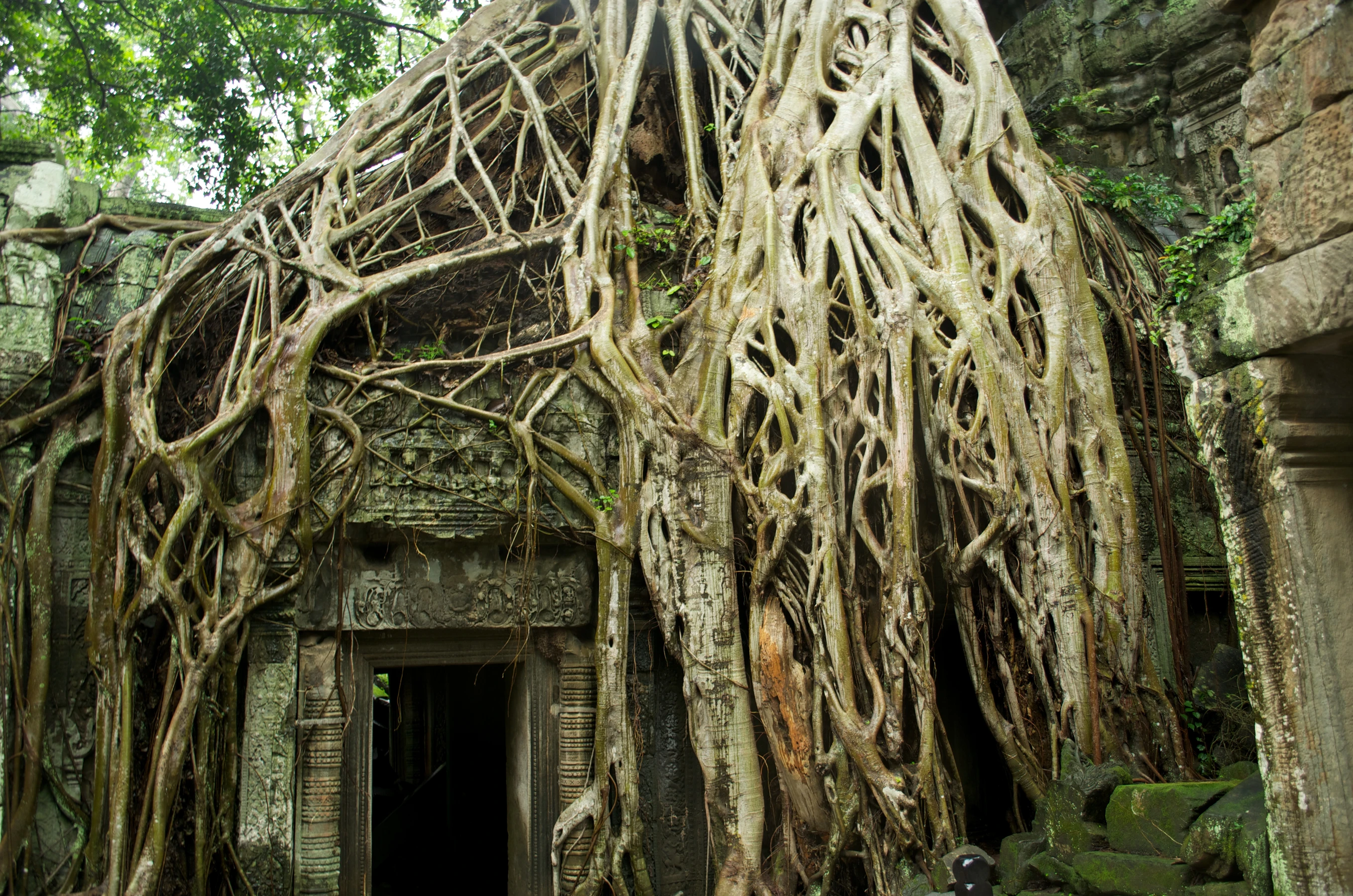 Ta Prohm