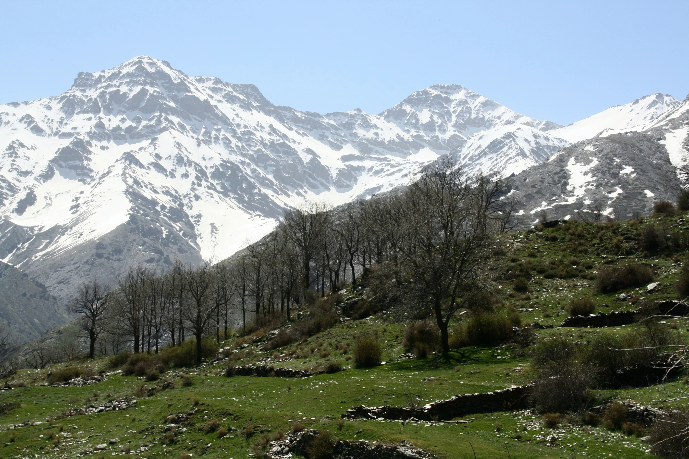 Sierra Nevada