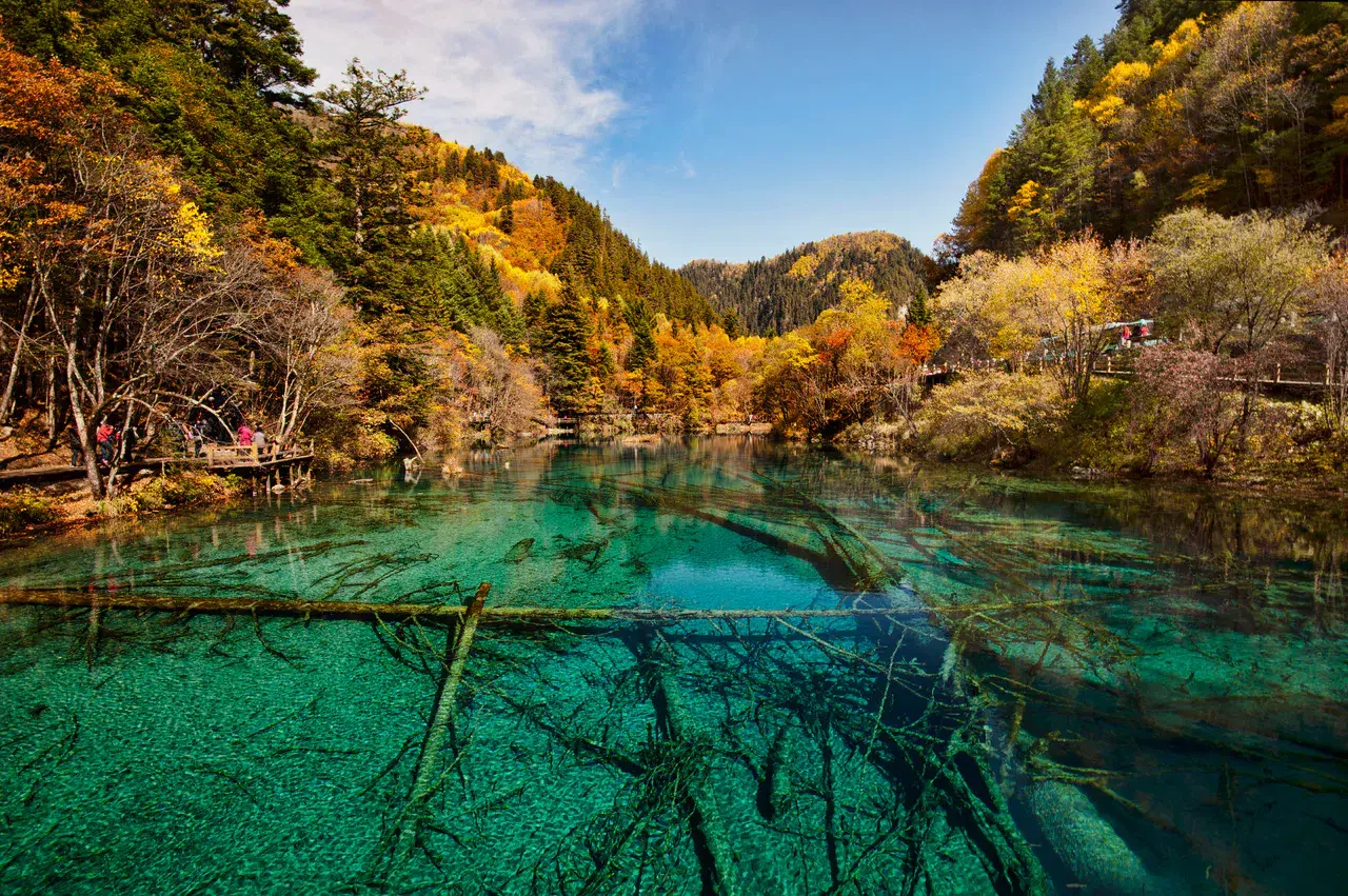 Lac des Cinq Fleurs - Vallée de Jiuzhaigou