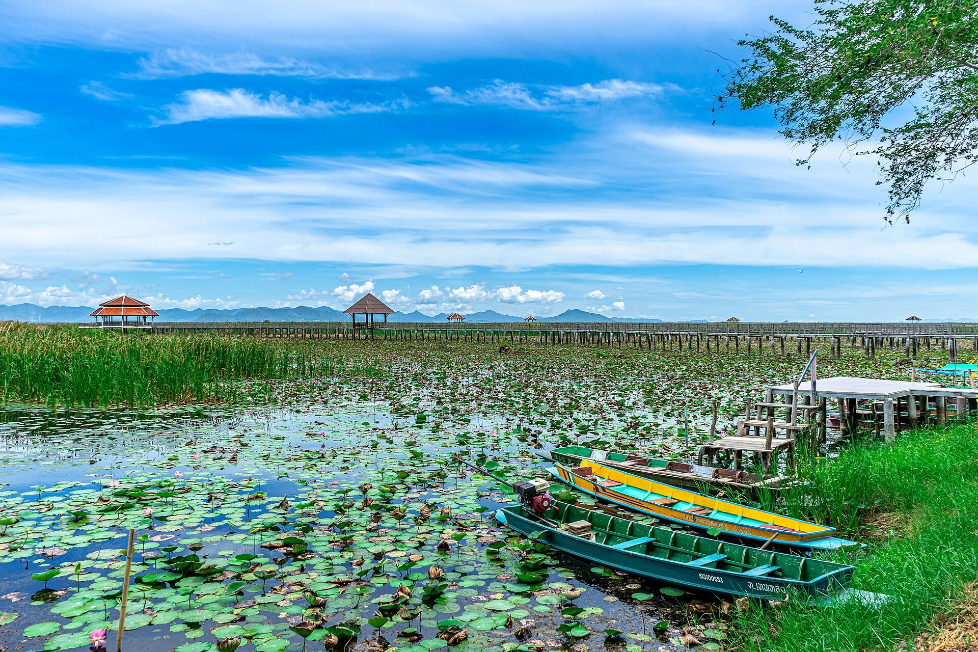 Thung Sam Roi Yot freshwater marsh