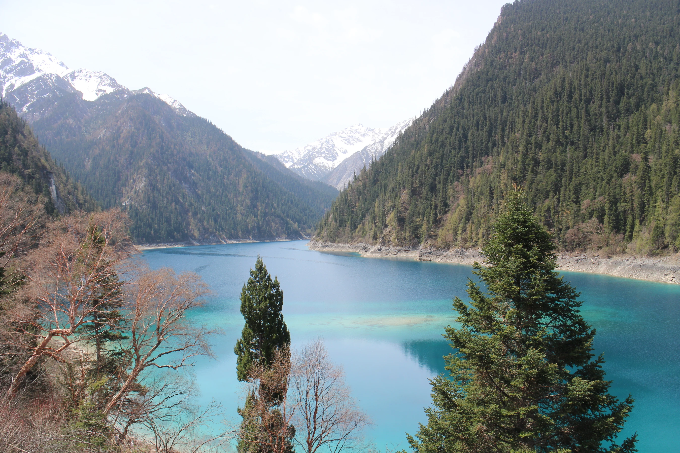Lac Long - Vallée de Jiuzhaigou
