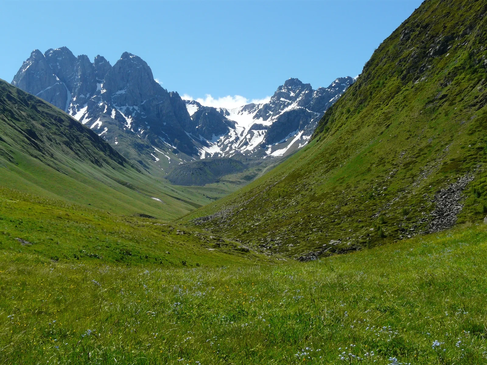 Juta Valley