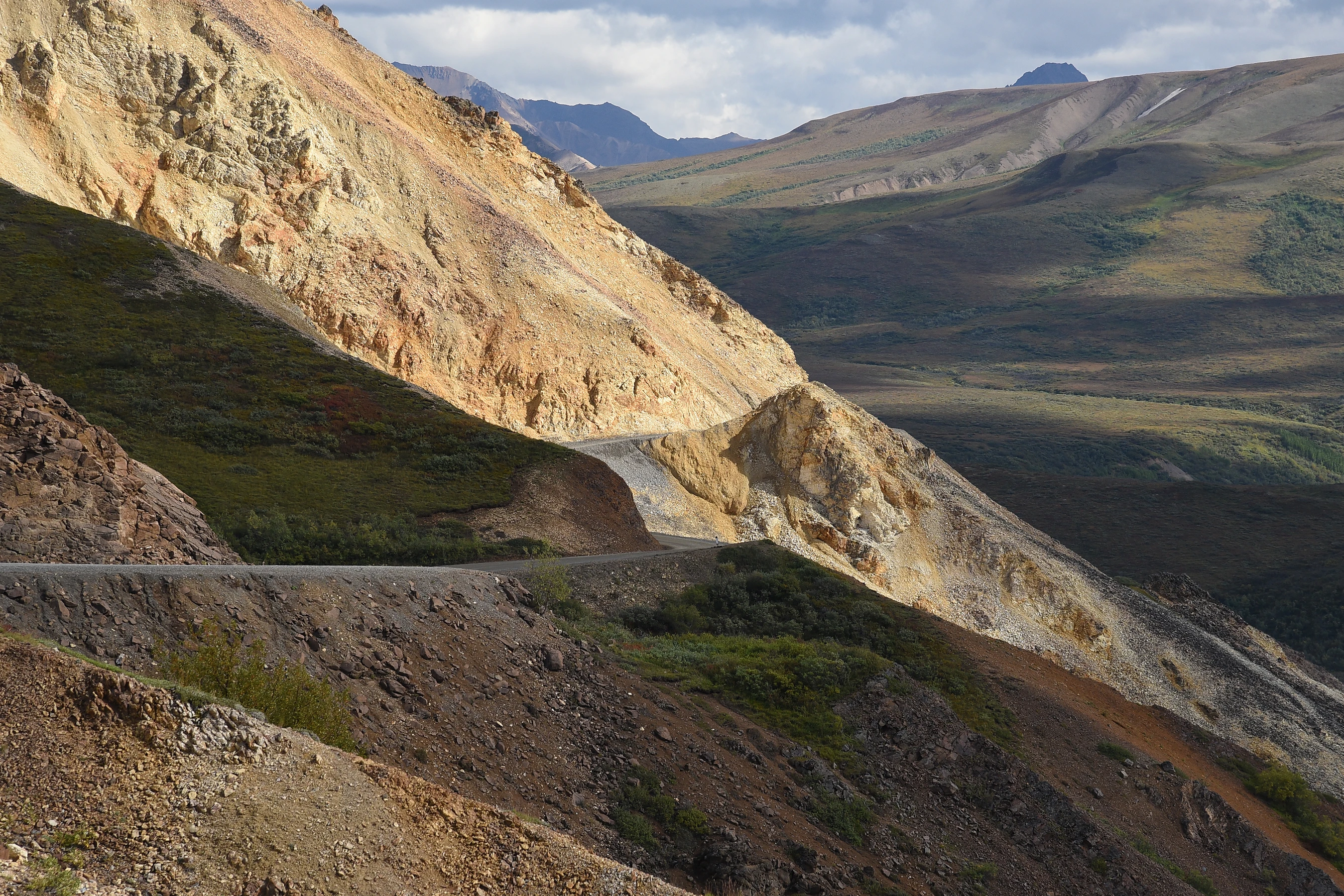 Polychrome Pass - Denali National Park