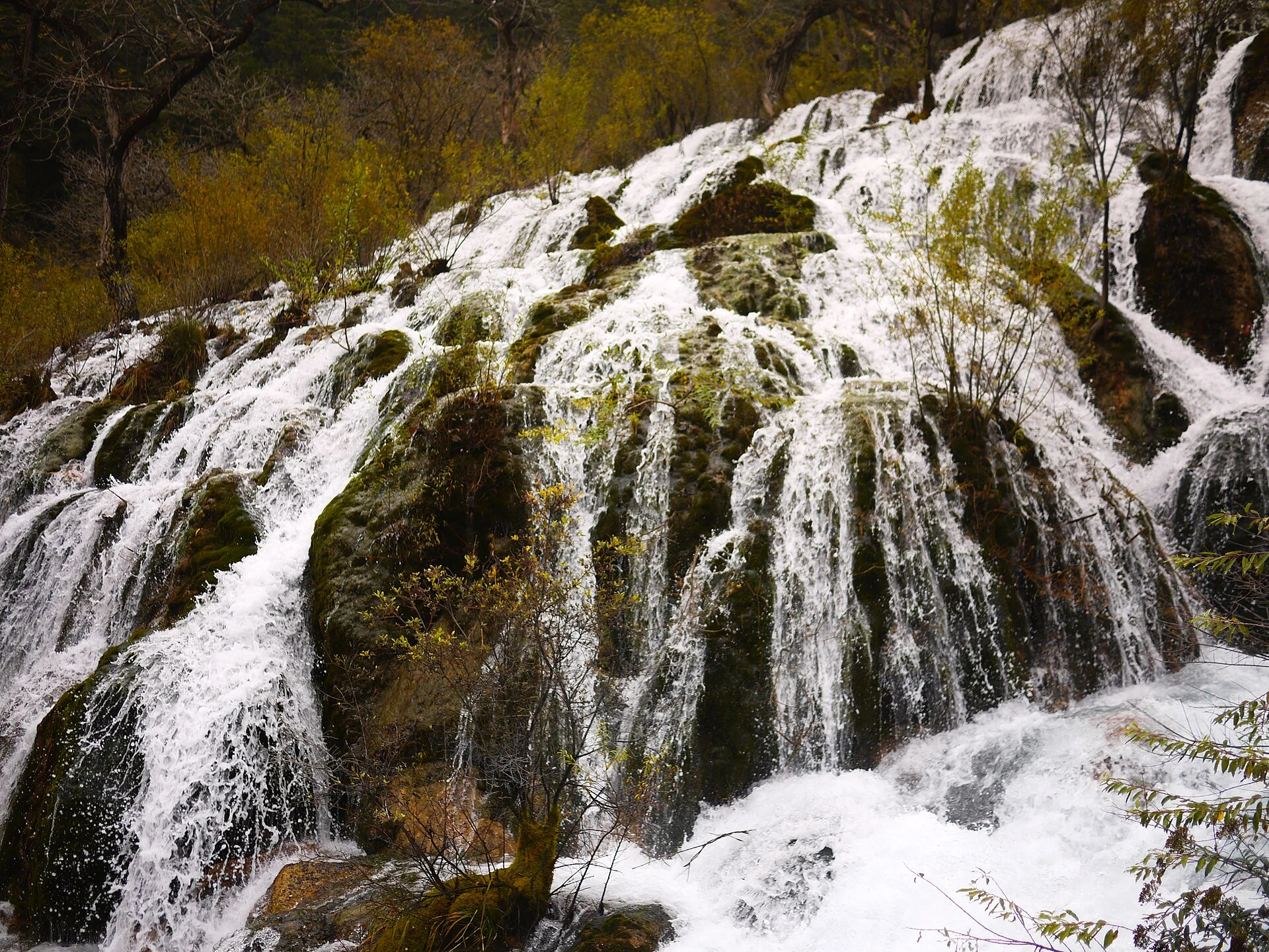 Vallée de Shuzheng - Vallée de Jiuzhaigou