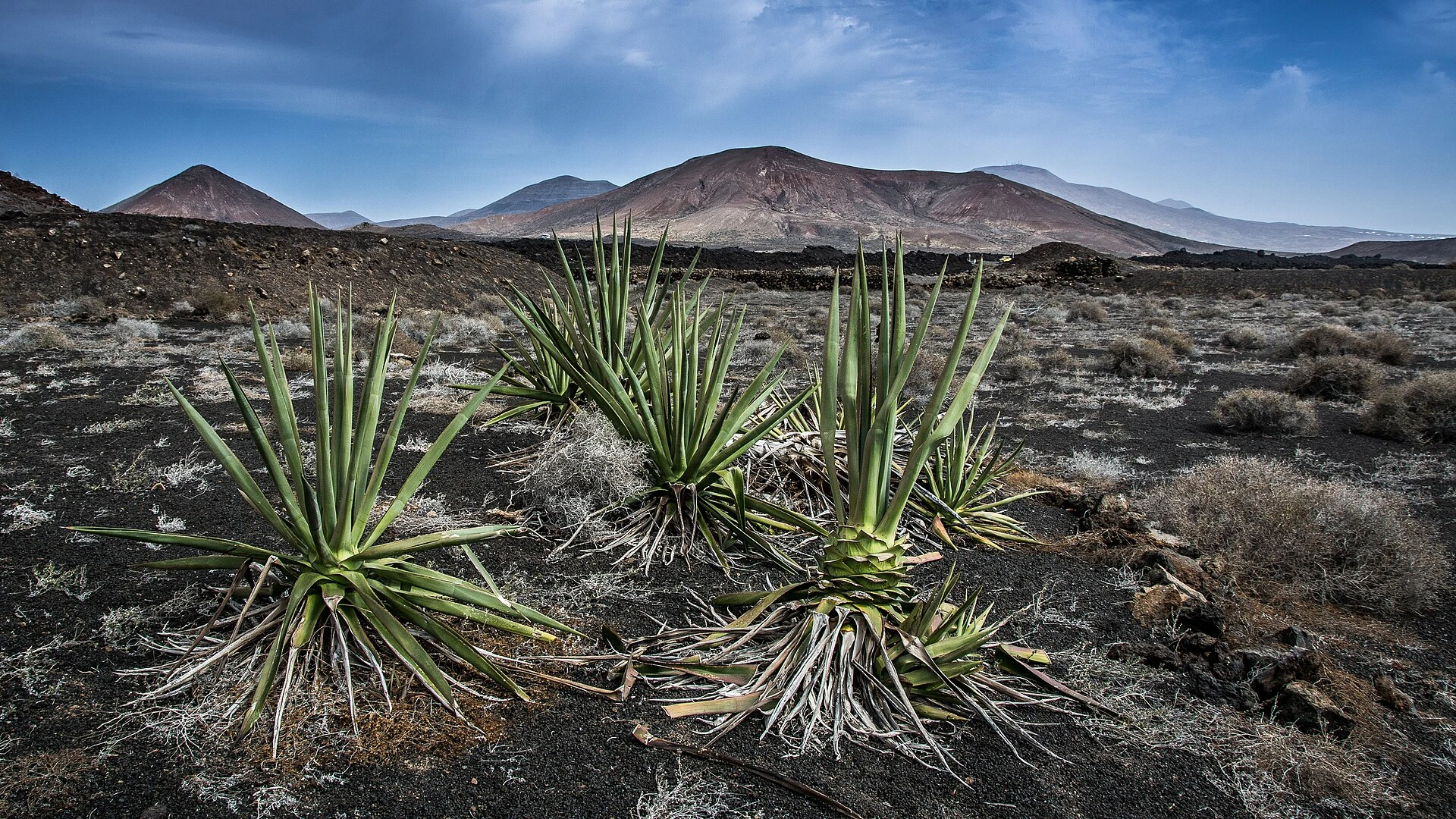 Paysage volcanique de Lanzarote
