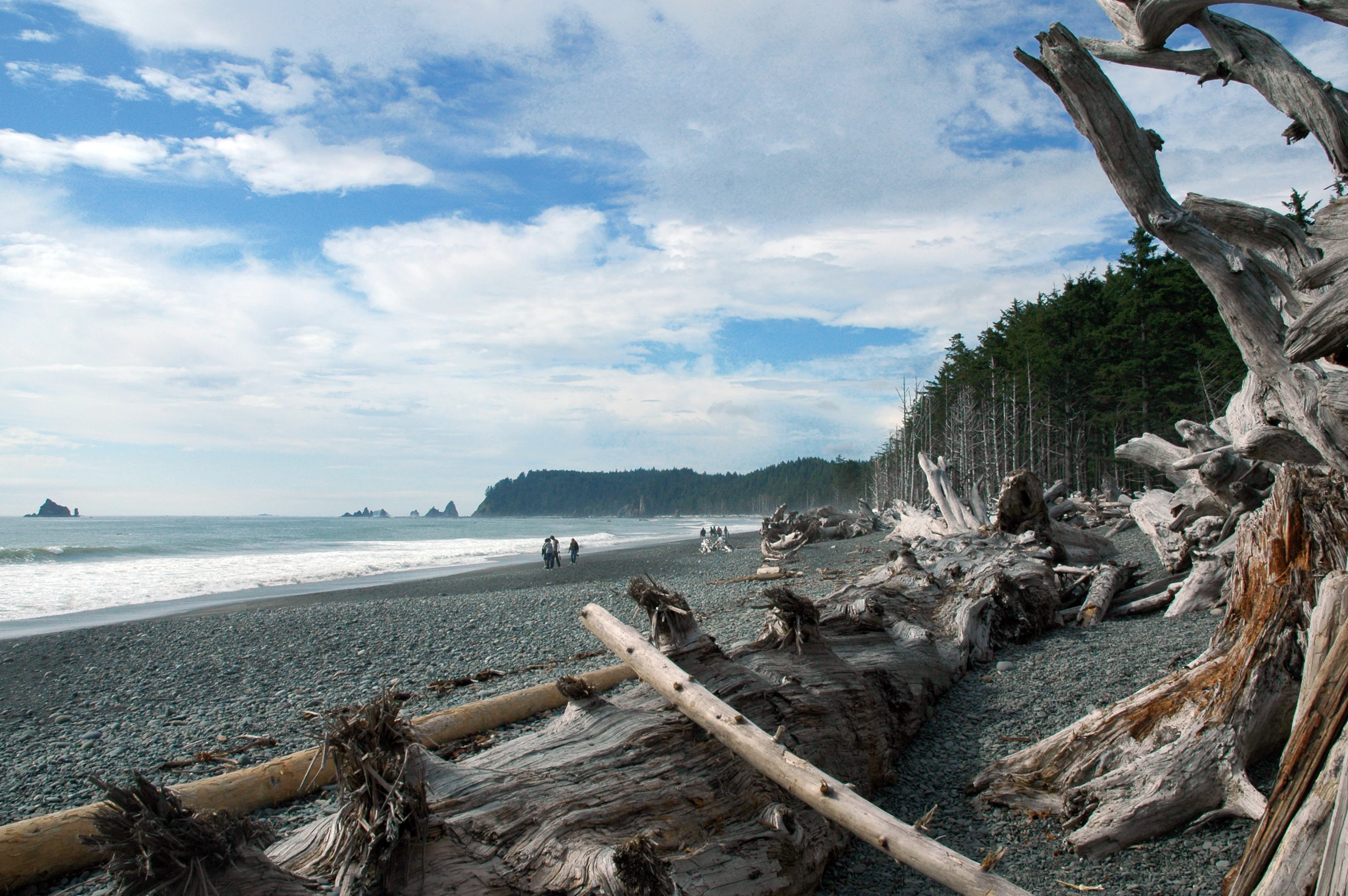Rialto Beach - Hoh Rain Forest et côte Olympic