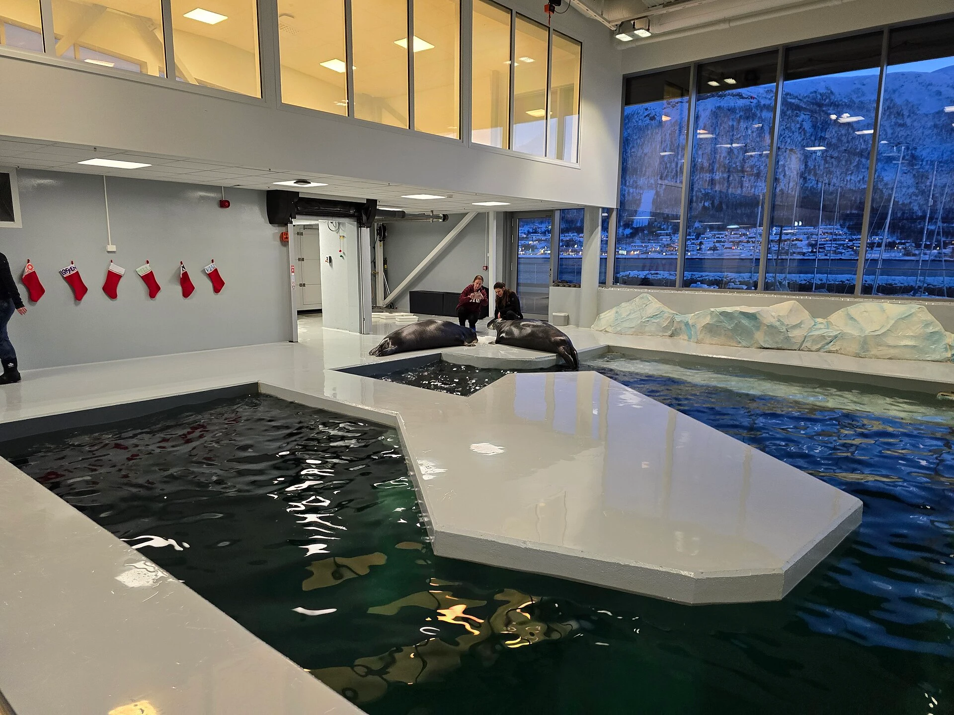 Polaria - Tromsø