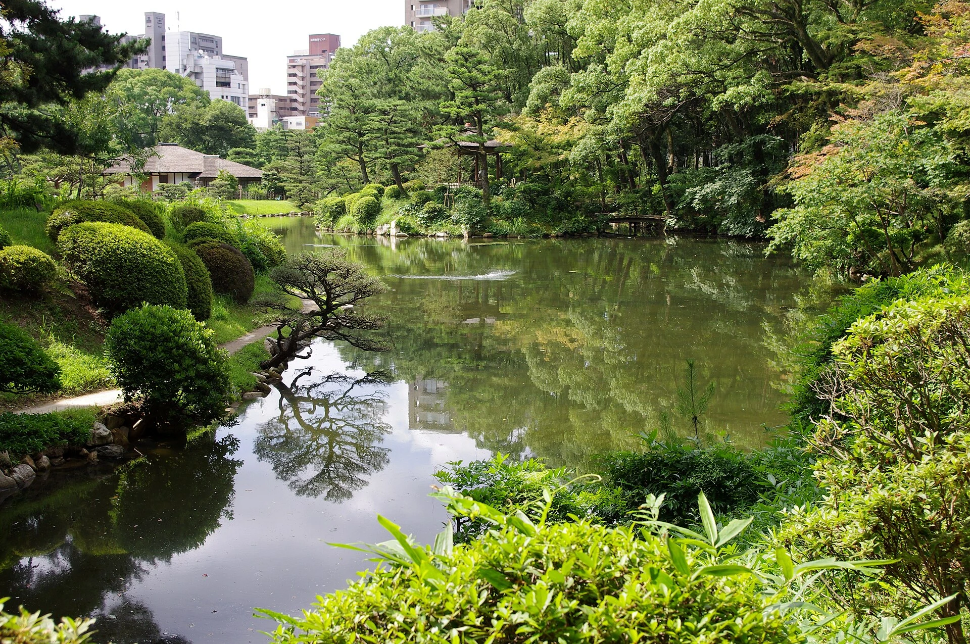 Jardin Shukkei-en - Hiroshima et Miyajima