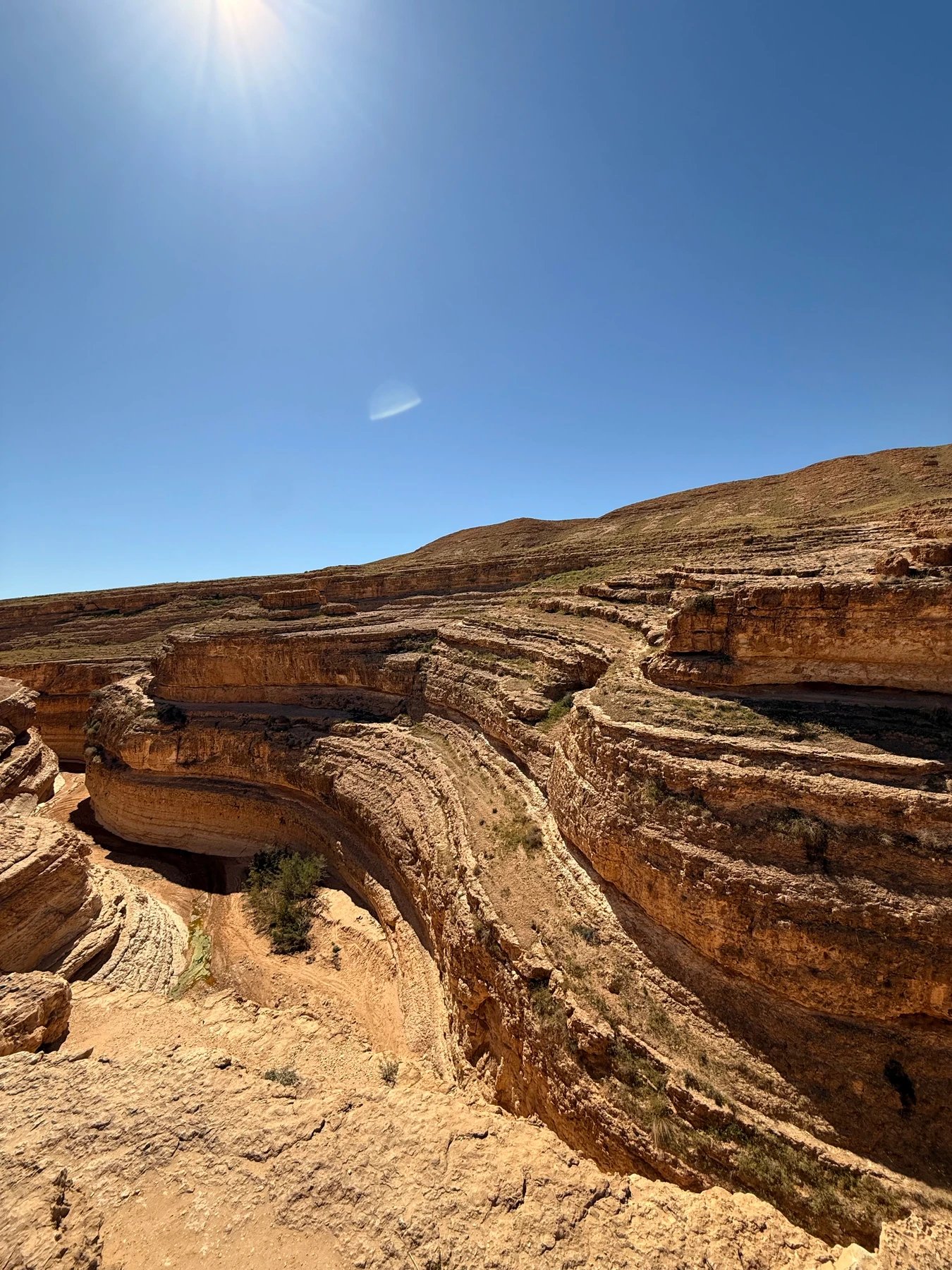 Oasis et canyon de Midès