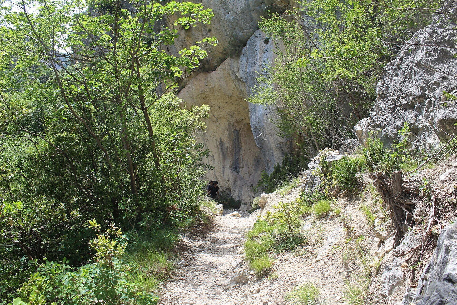 Sentier Blanc-Martel - Gorges du Verdon