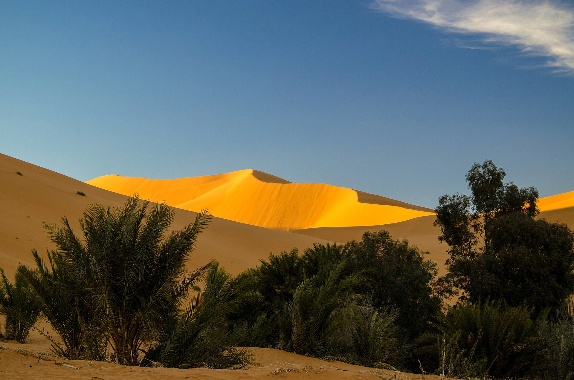 Merzouga