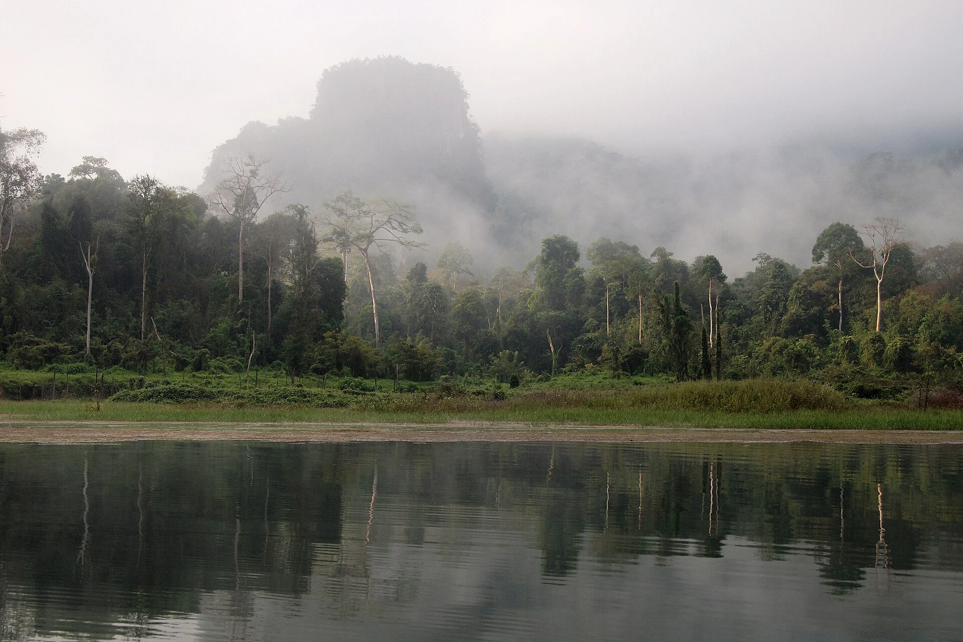 Selva de Khao Sok