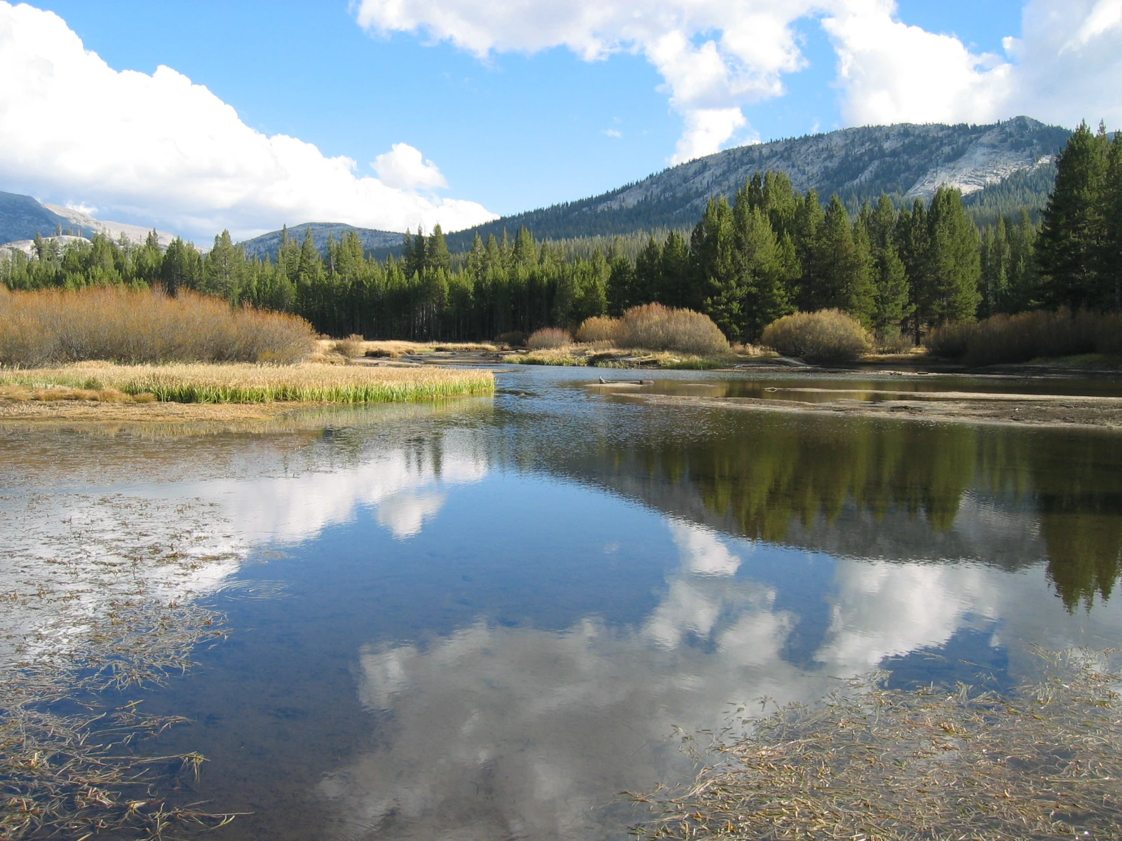 Tuolumne Meadows - Yosemite National Park