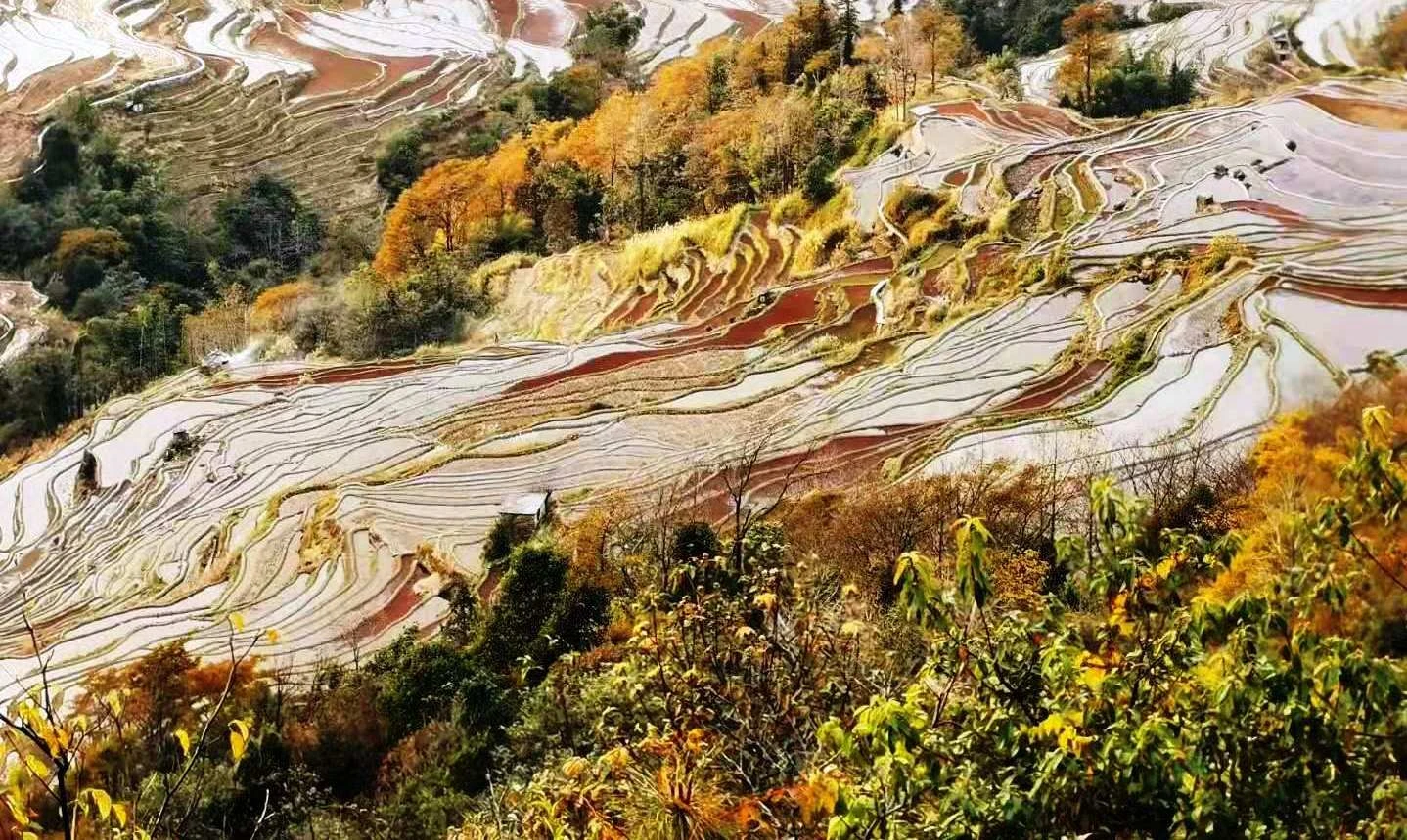 Terrasses de Bada - Rizières en terrasses de Yuanyang