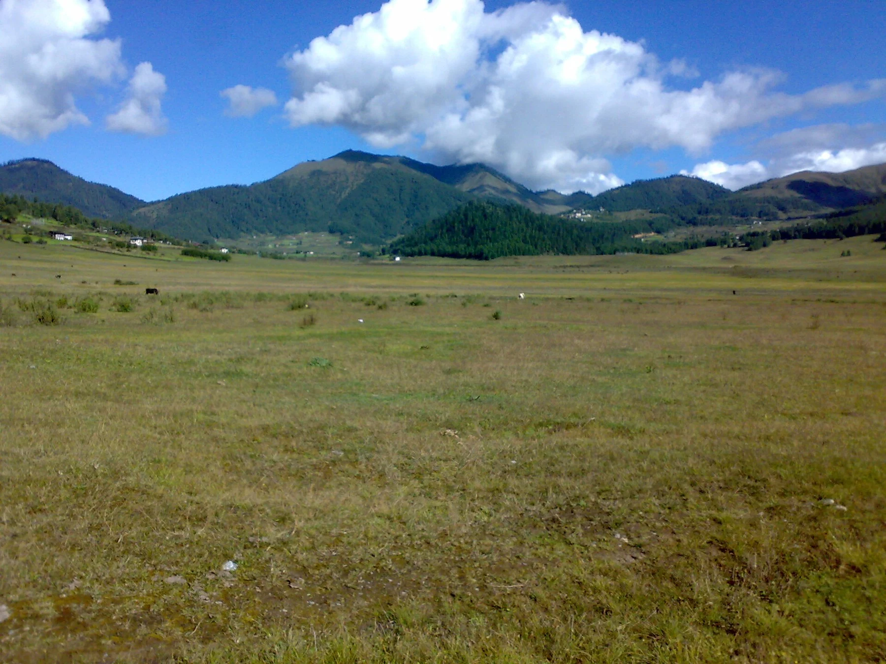 Praderas del valle de Phobjikha