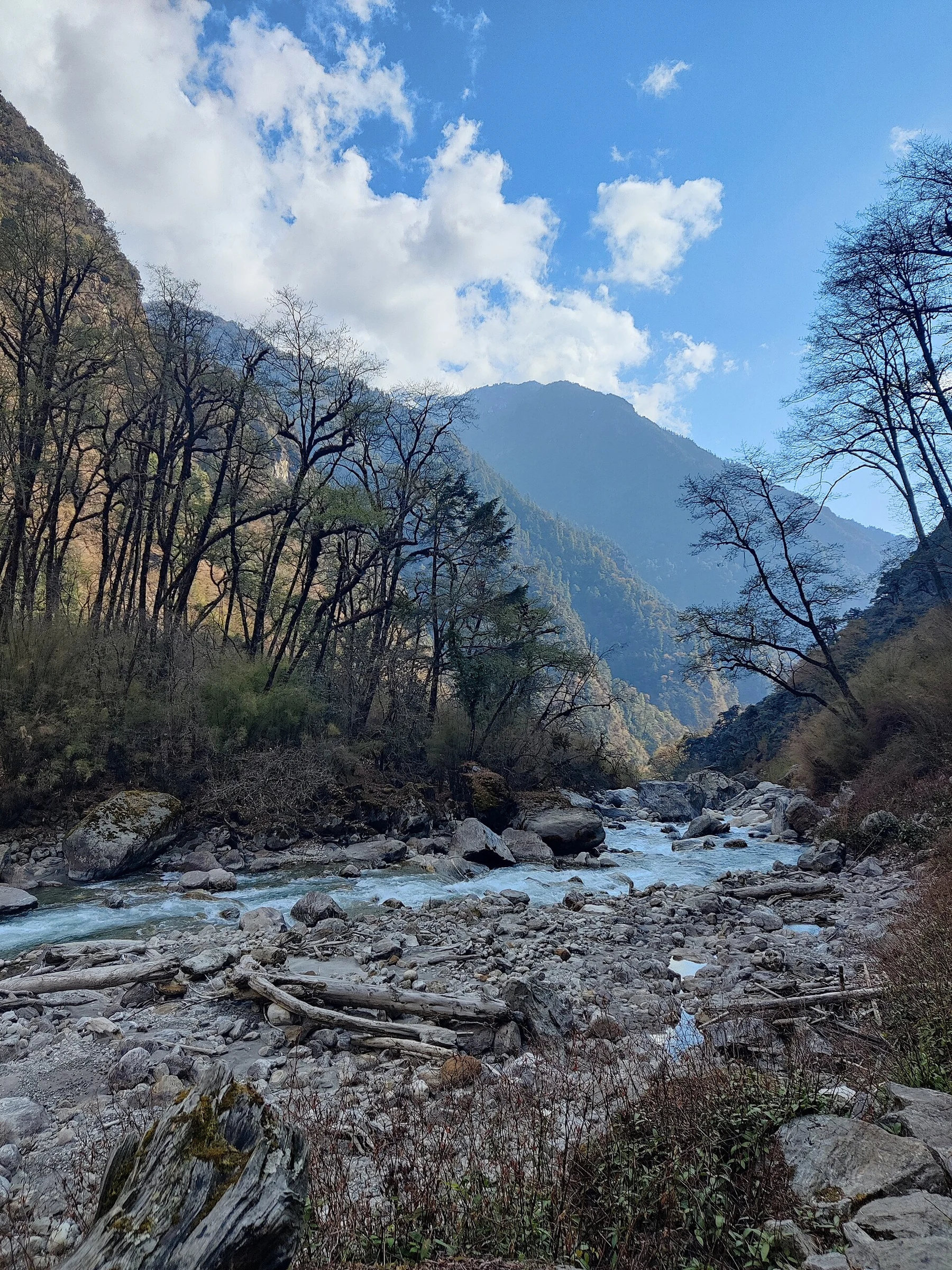 Langtang Valley