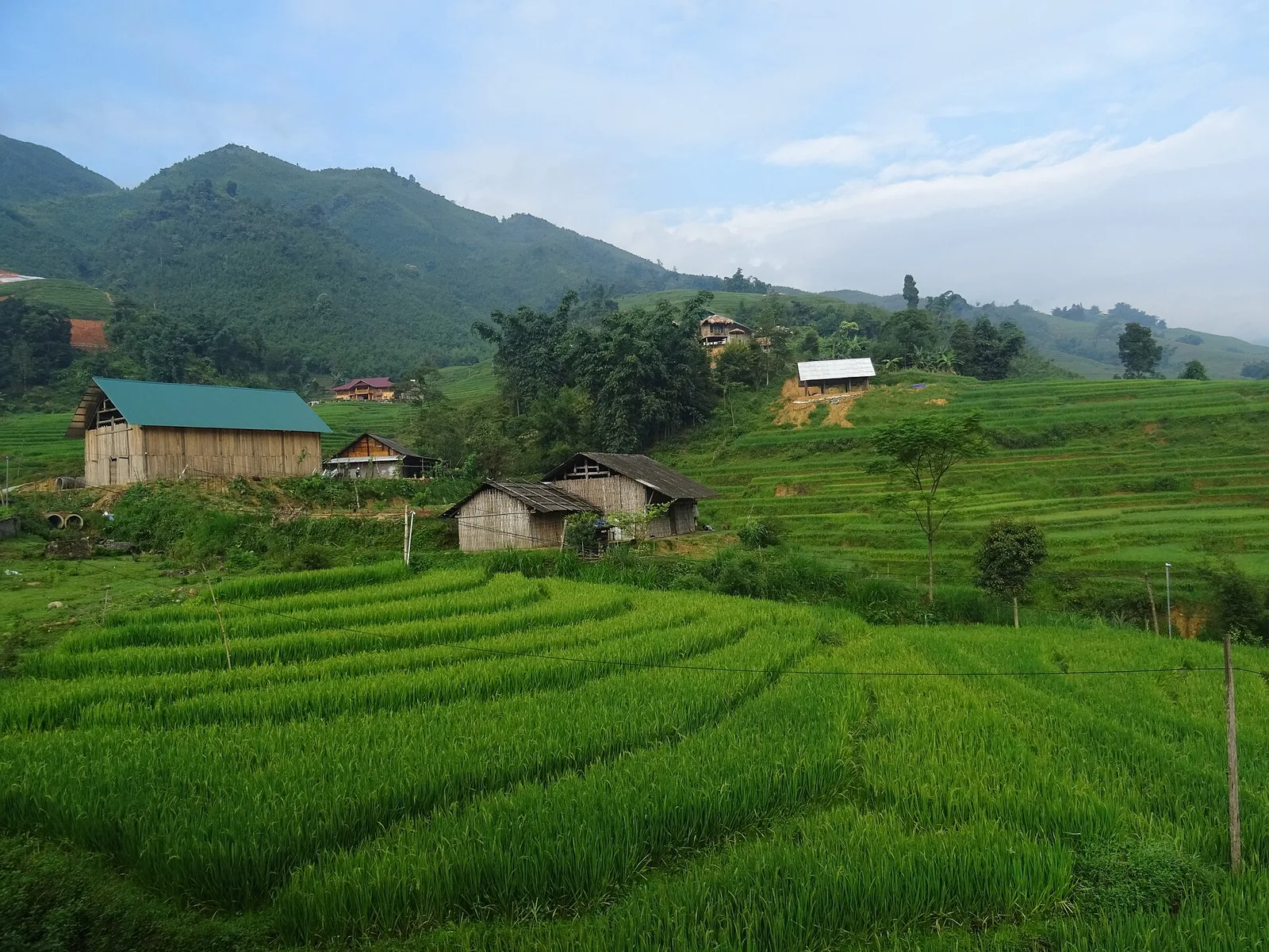 Village de Tả Van