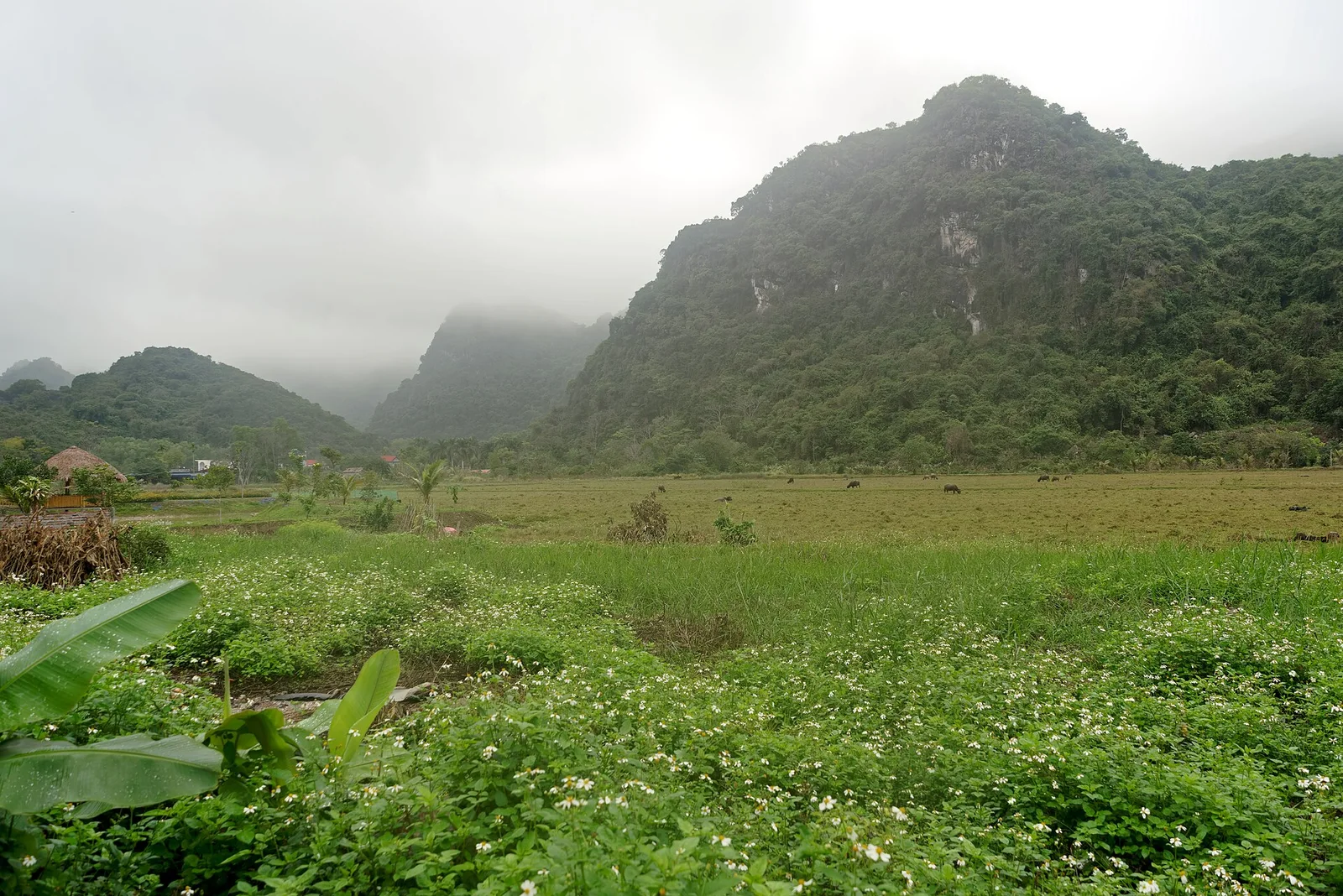 Việt Hải village