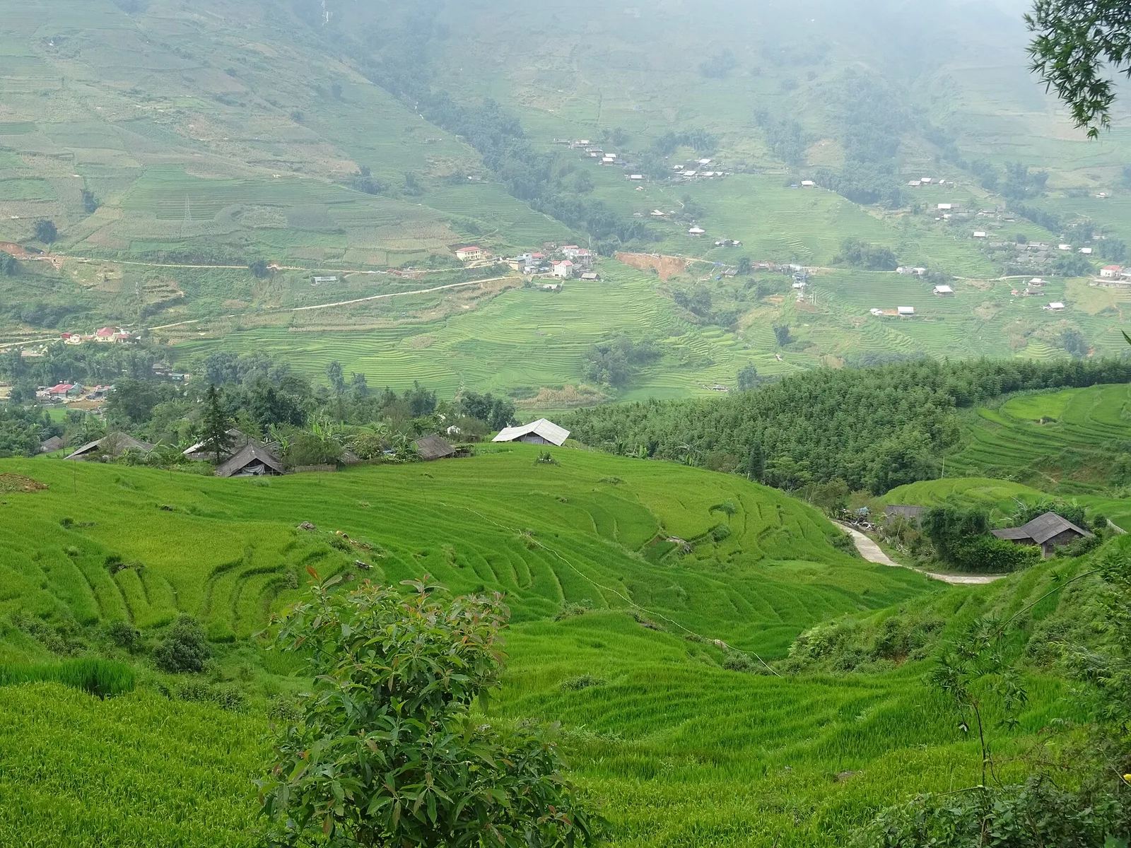 Vallée de Mường Hoa