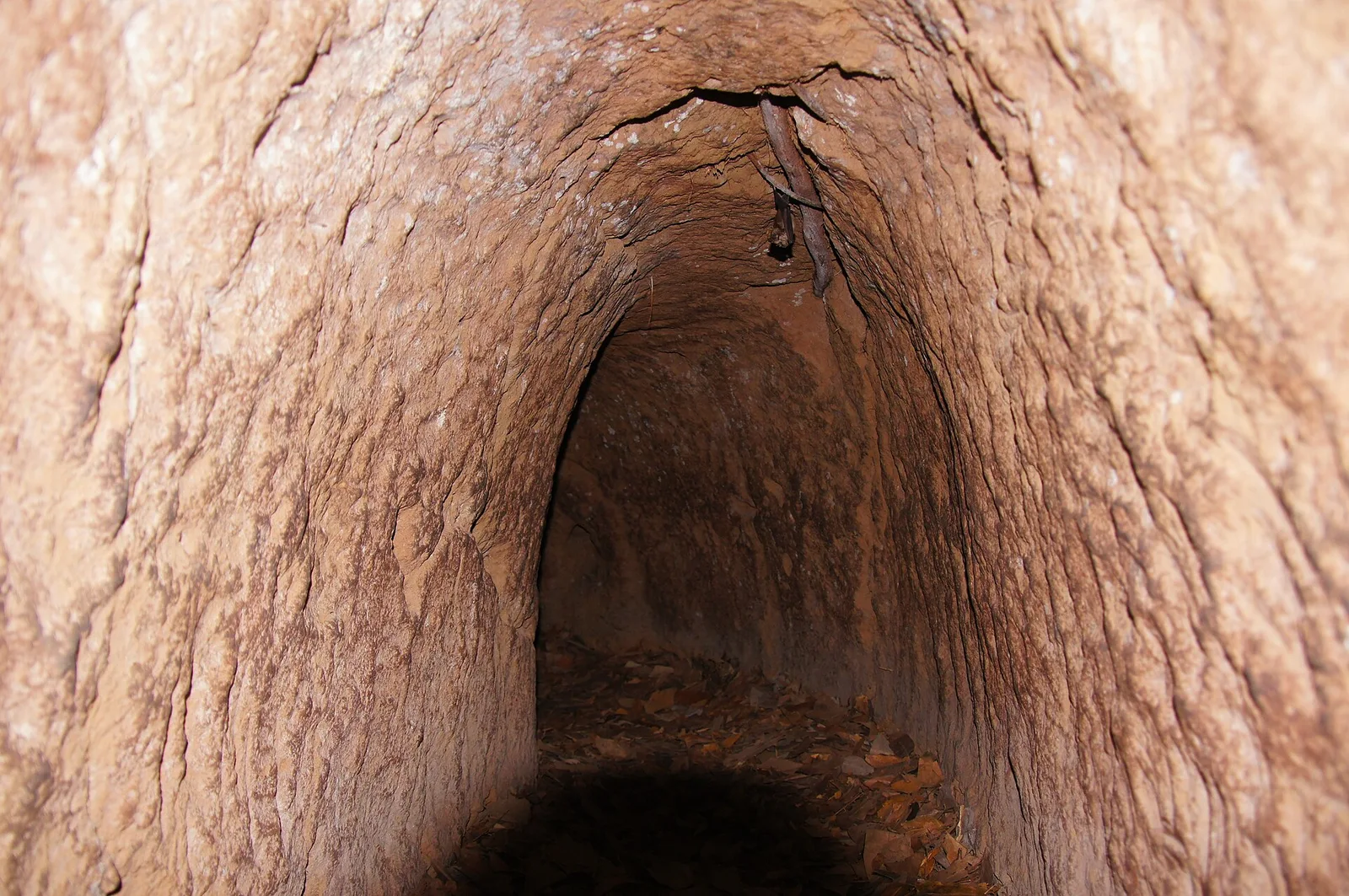 Tunnels de Củ Chi