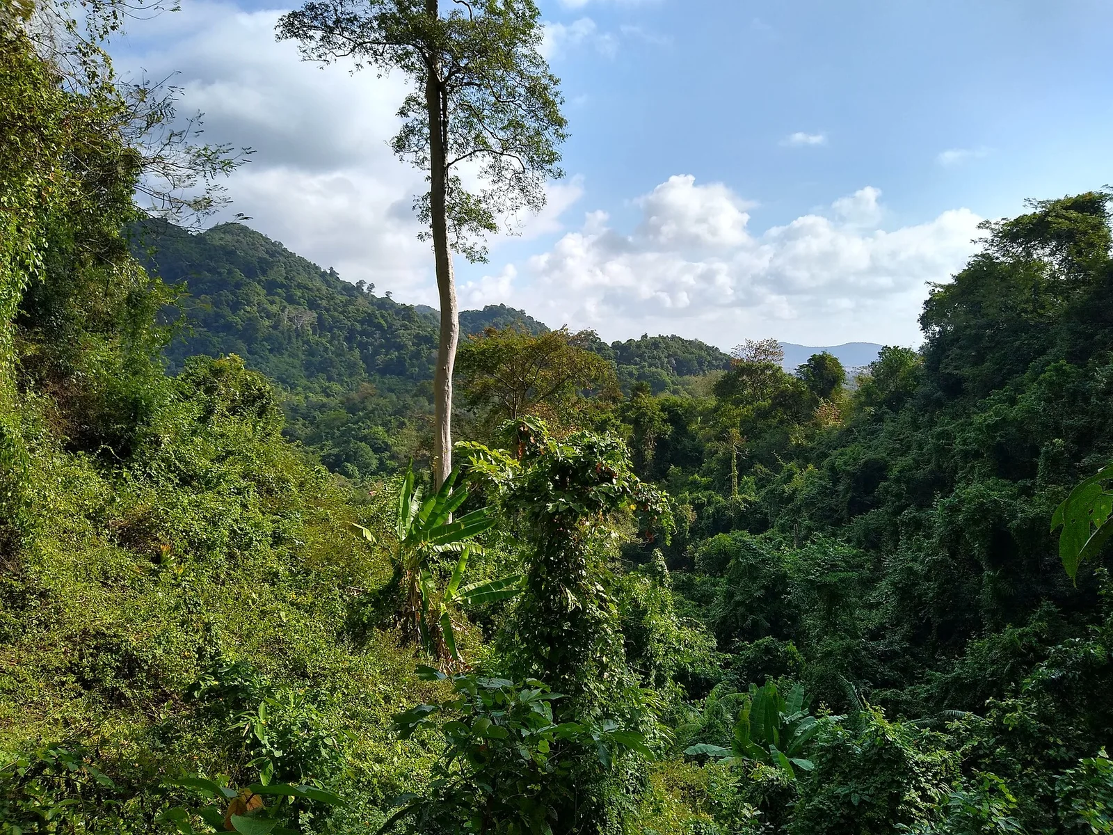 Parc national de Kep