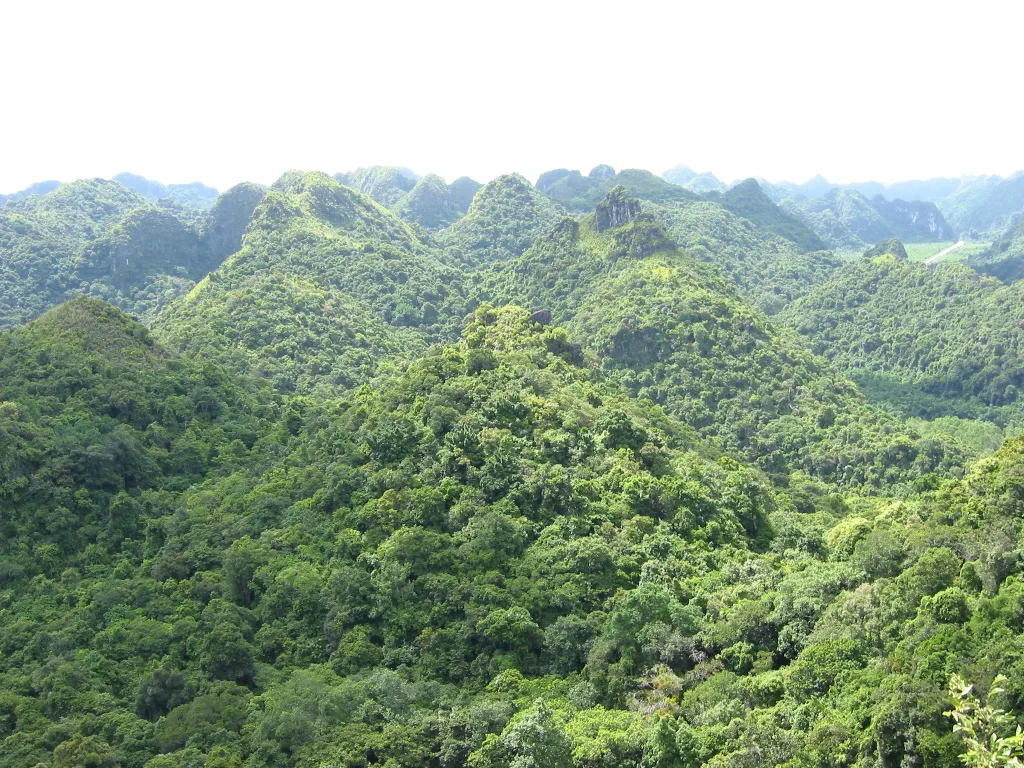 Parc national de Cát Bà