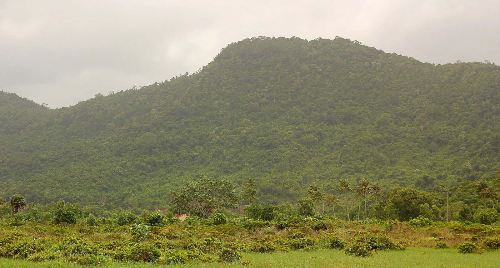 Parc national de Ream