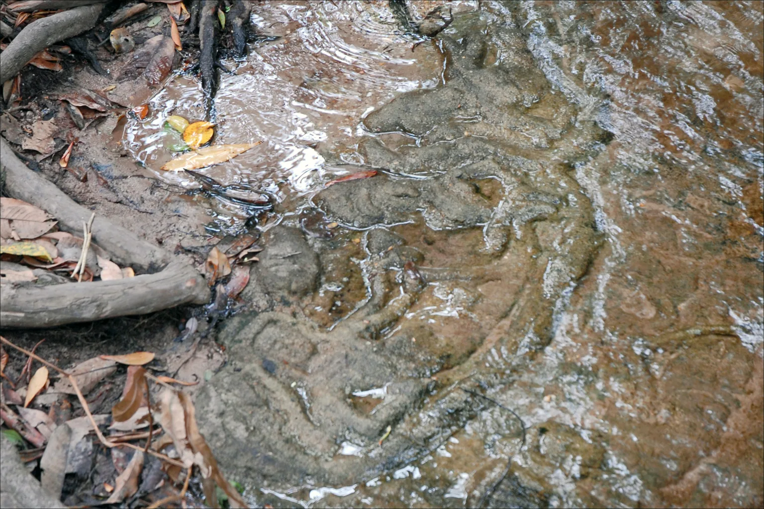 Rivière aux mille lingas de Phnom Kulen