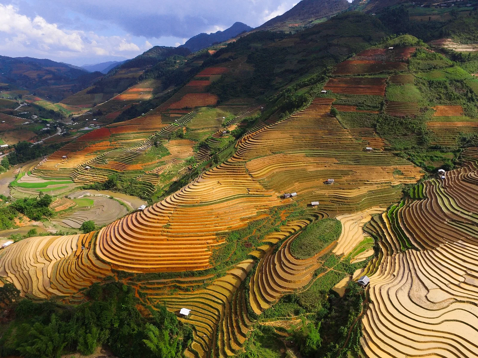 Rizières de Chế Cu Nha