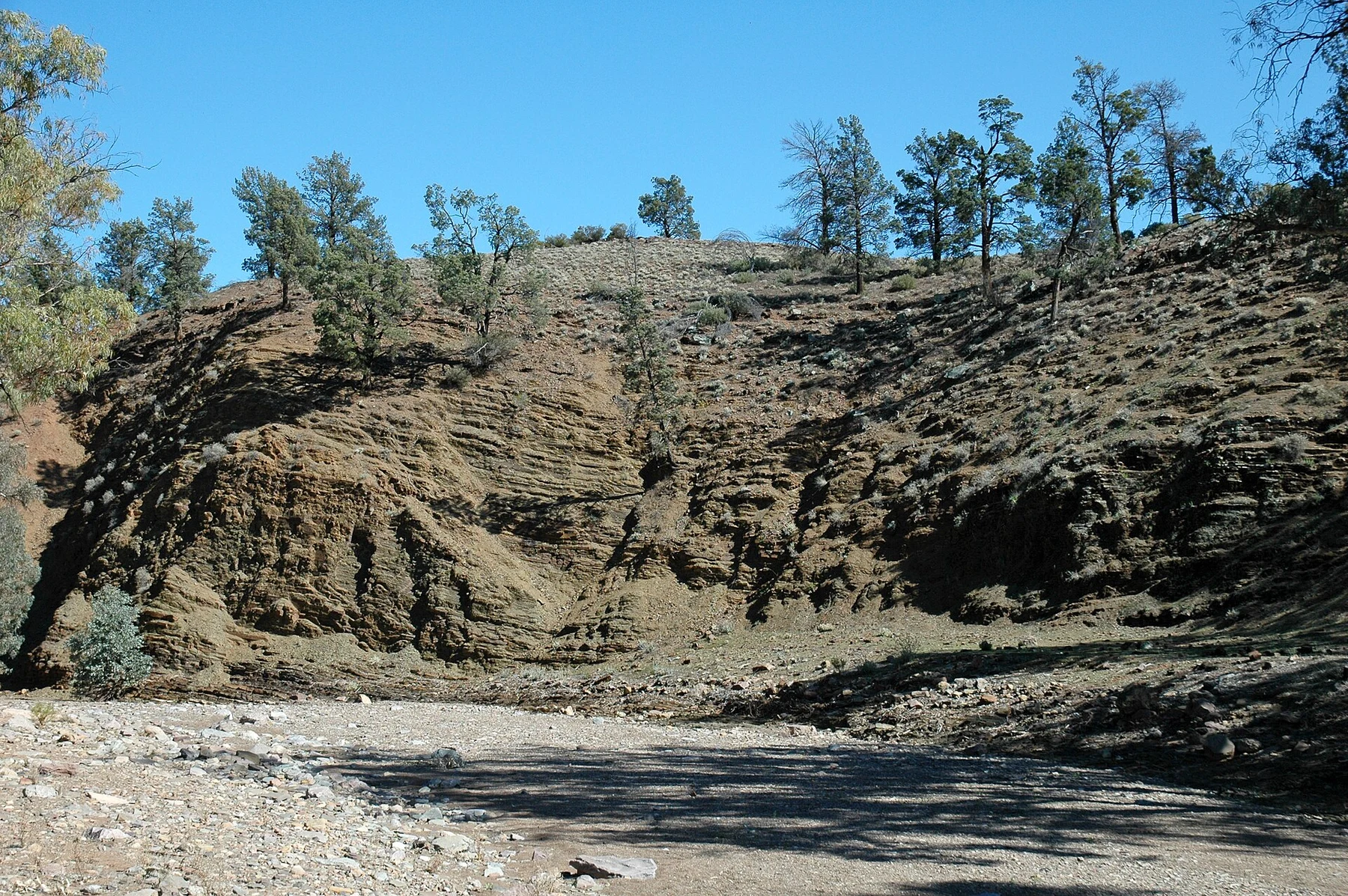Folded rocks on the Brachina Gorge geological trail, Enorama Creek sector.