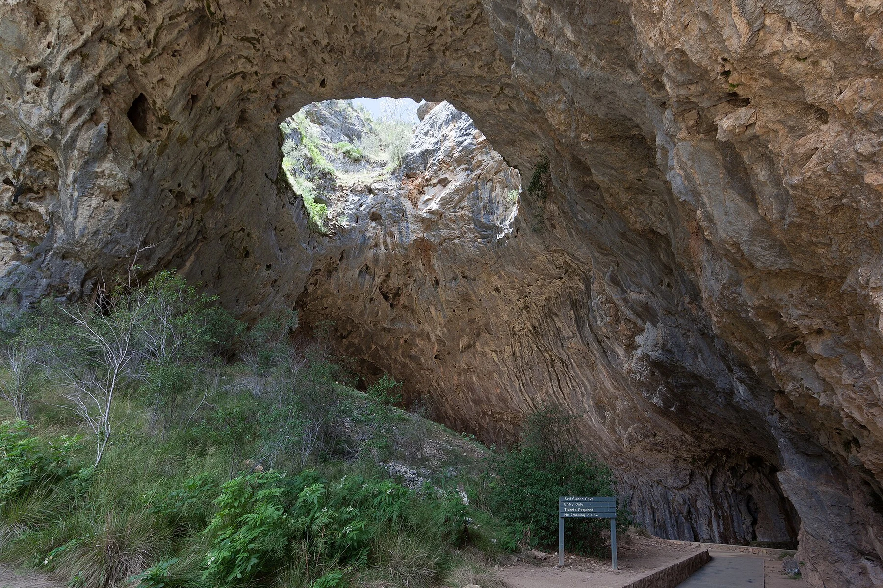 Yarrangobilly Caves