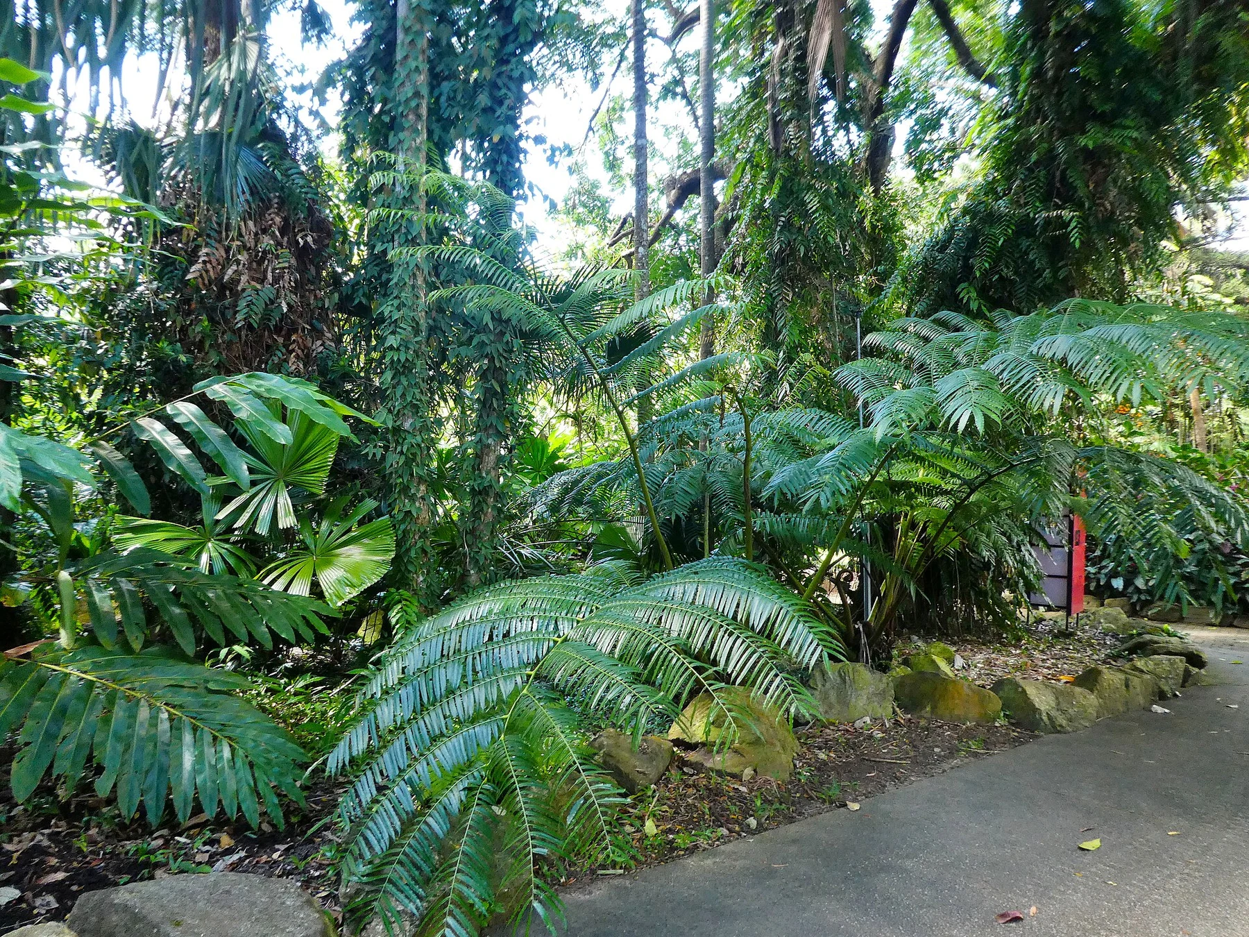 Cairns Botanic Gardens