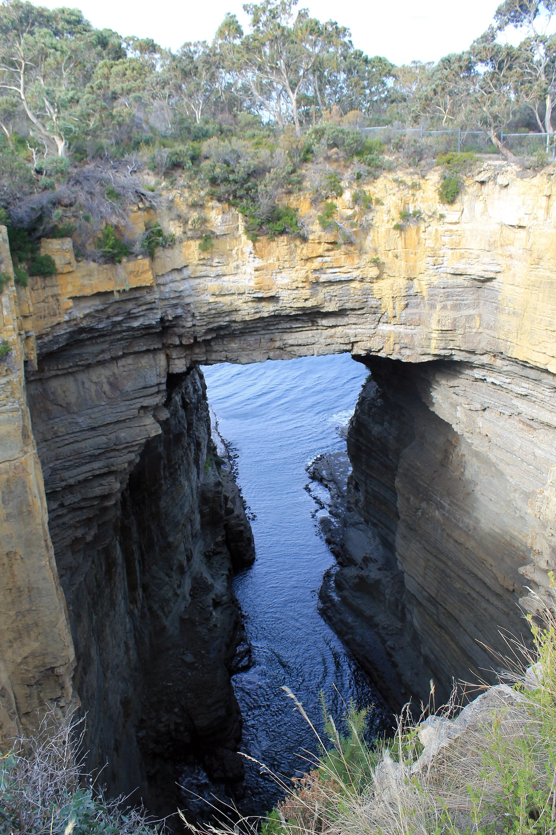 Tasman Arch